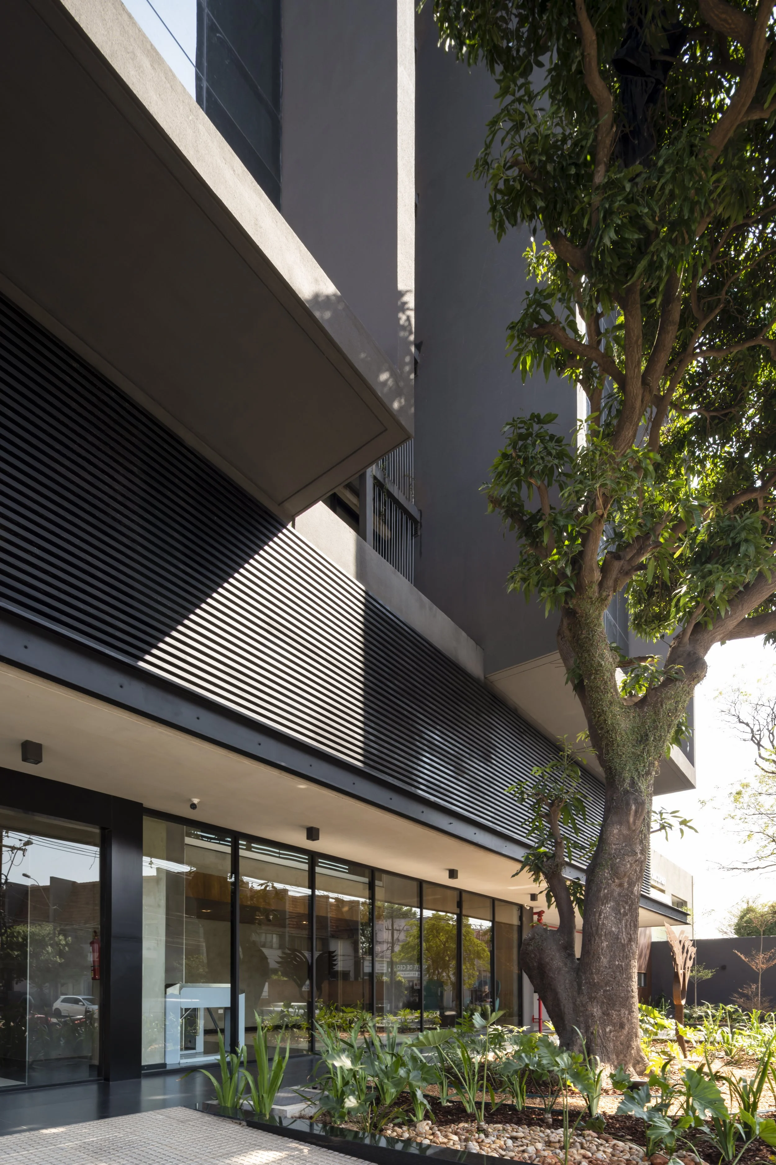 PRO ARQUITECTURA PARAGUAY architecture design PROSA
Edificio moderno con fachada de vidrio y madera, árbol en el exterior y plantas en la jardinería cercana.