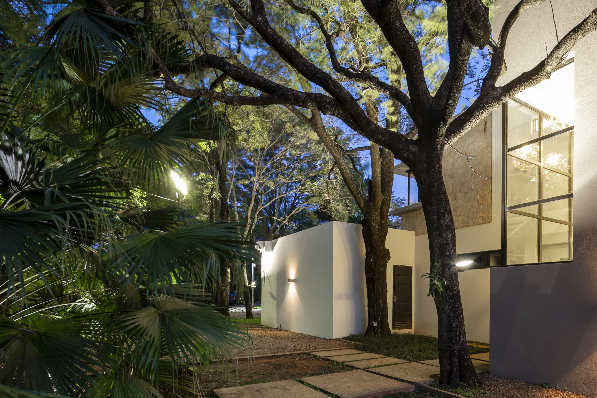 Vista de una casa moderna con paredes blancas y grandes ventanas de cristal, rodeada de árboles y plantas, iluminada con luces exteriores durante la noche.
