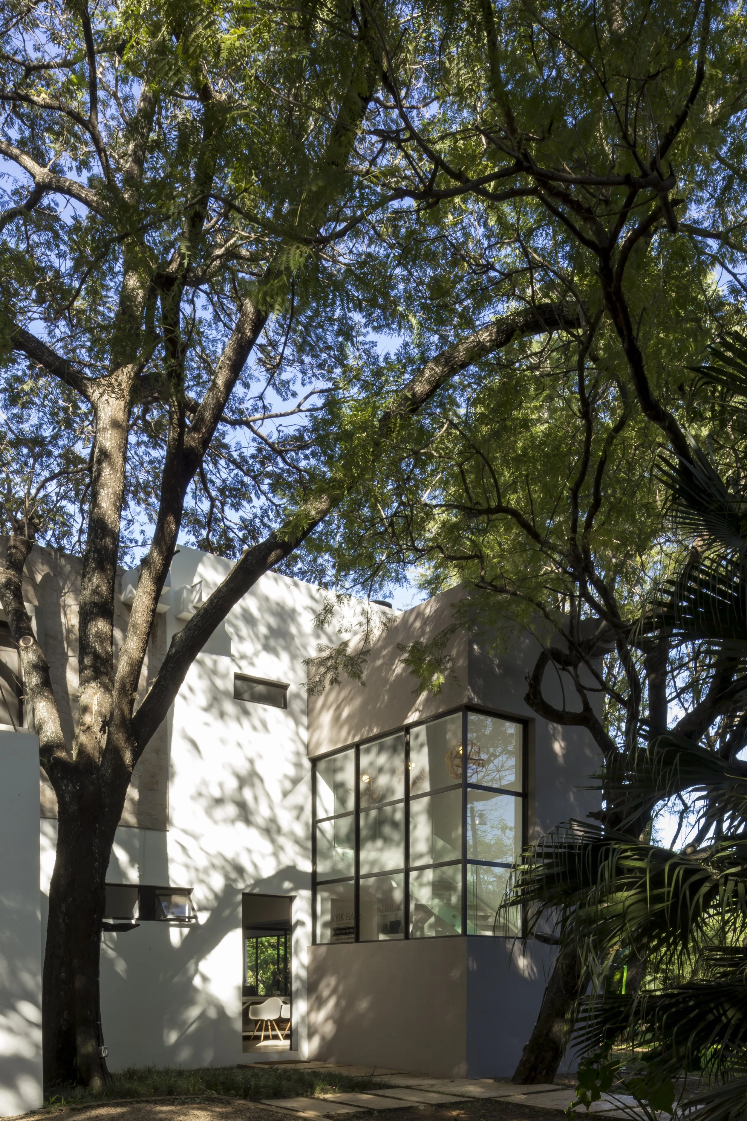 PRO ARQUITECTURA PARAGUAY architecture design PROSA
Casa moderna de color blanco rodeada de árboles con sombra y vegetación, con ventanas grandes de cristal.