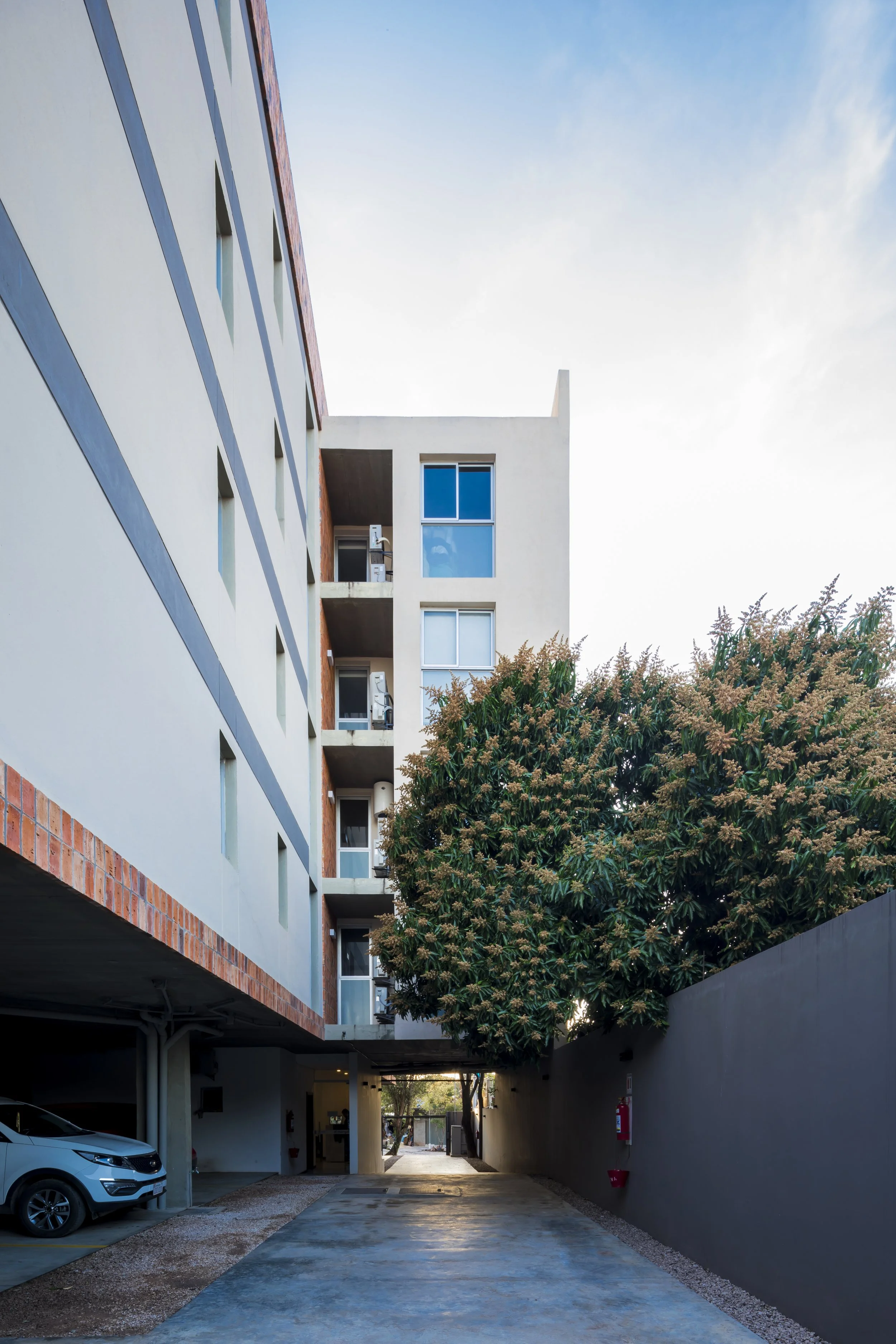Vista de un edificio moderno con balcones y ventanas grandes, un árbol frondoso a la derecha y un camino peatonal en la parte inferior.