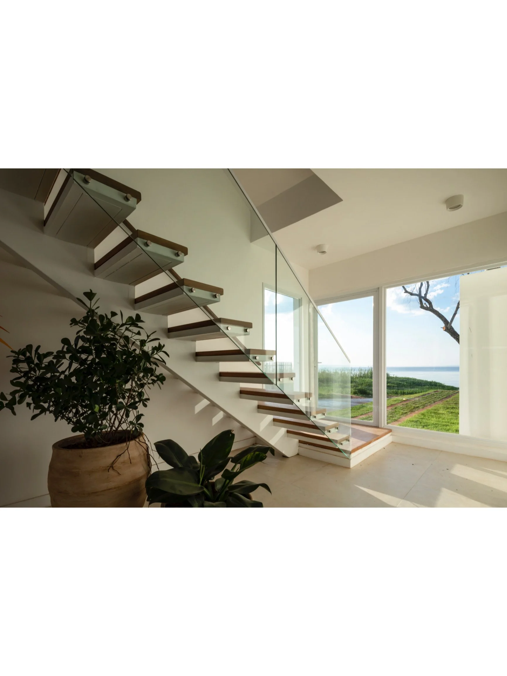 PRO ARQUITECTURA PARAGUAY architecture design PROSA
Interior de una casa moderna con escaleras de madera y vidrio, plantas en macetas grandes, vista al exterior con campo y árbol