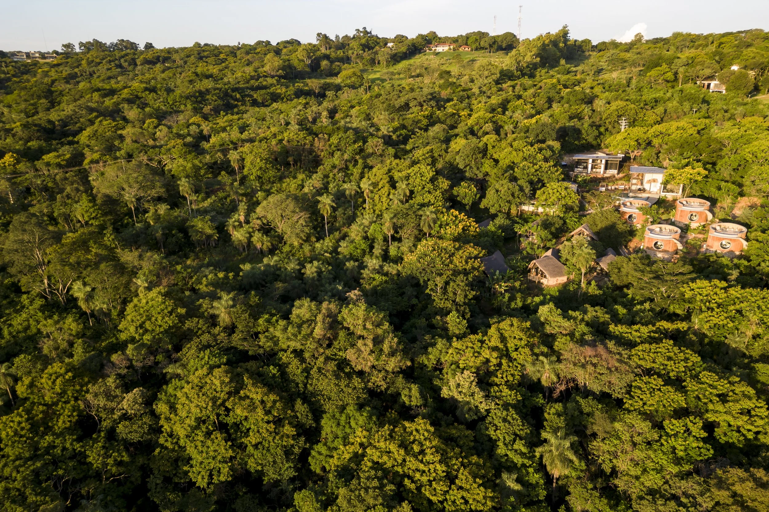 Perspectiva aérea de un bosque denso y casas construidas en colina con vegetación abundante.