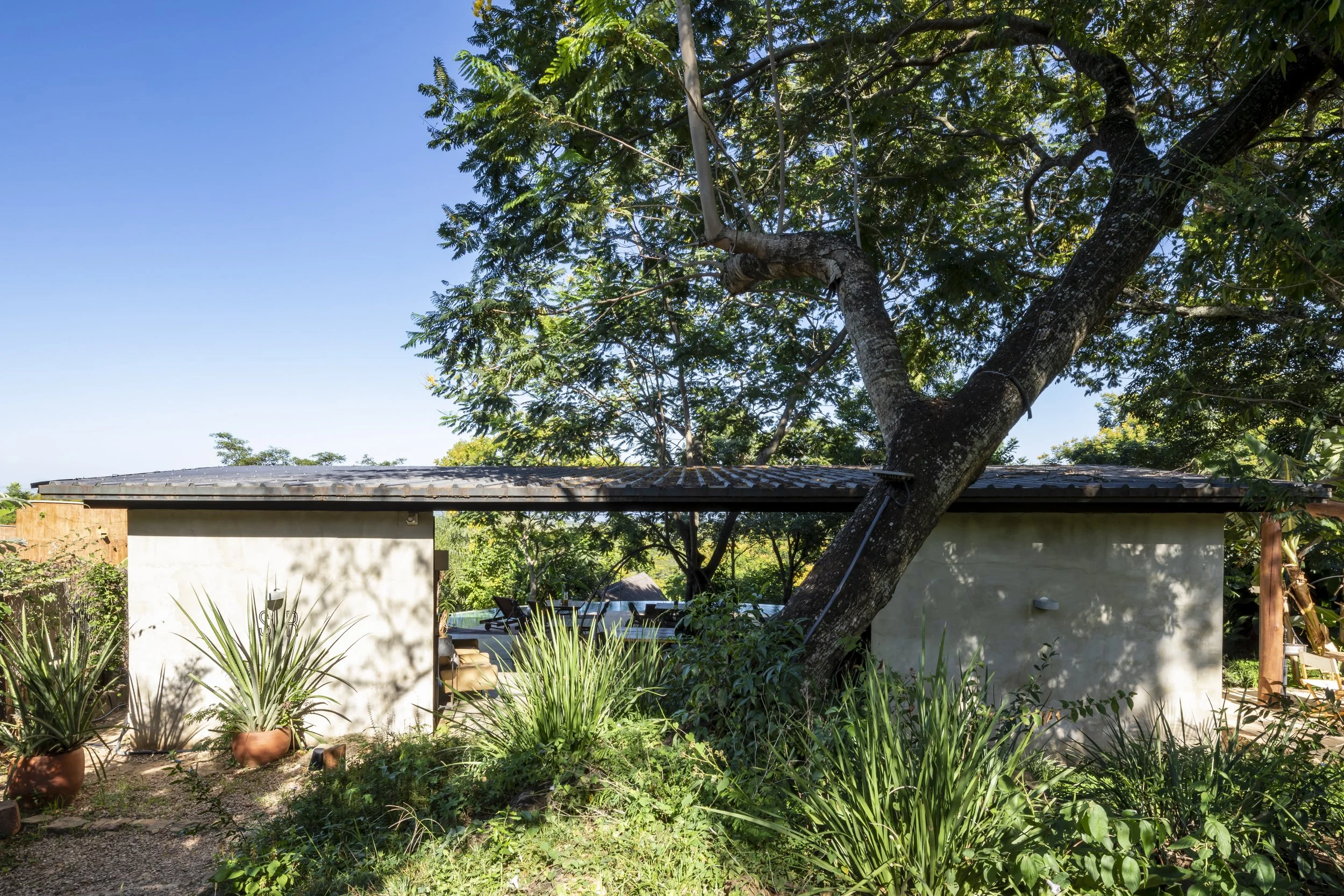 	
PRO ARQUITECTURA PARAGUAY architecture design PROSA
Edificio pequeño con paredes blancas, rodeado de plantas verdes y un árbol grande que se inclina sobre el techo. El cielo es azul y despejado.