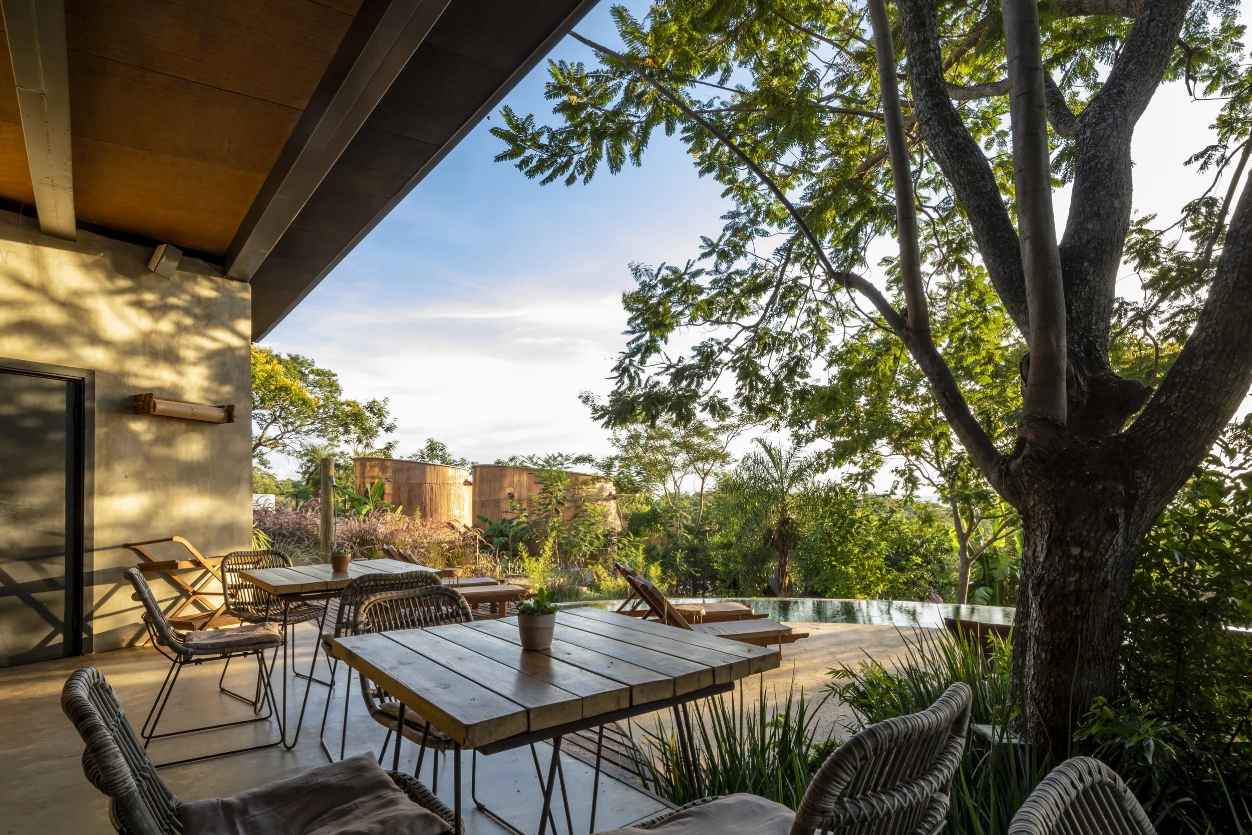 Terraza exterior con mesas de madera, sillas de mimbre, plantas en macetas, y árboles verdes bajo un cielo despejado, en un ambiente natural y relajante.