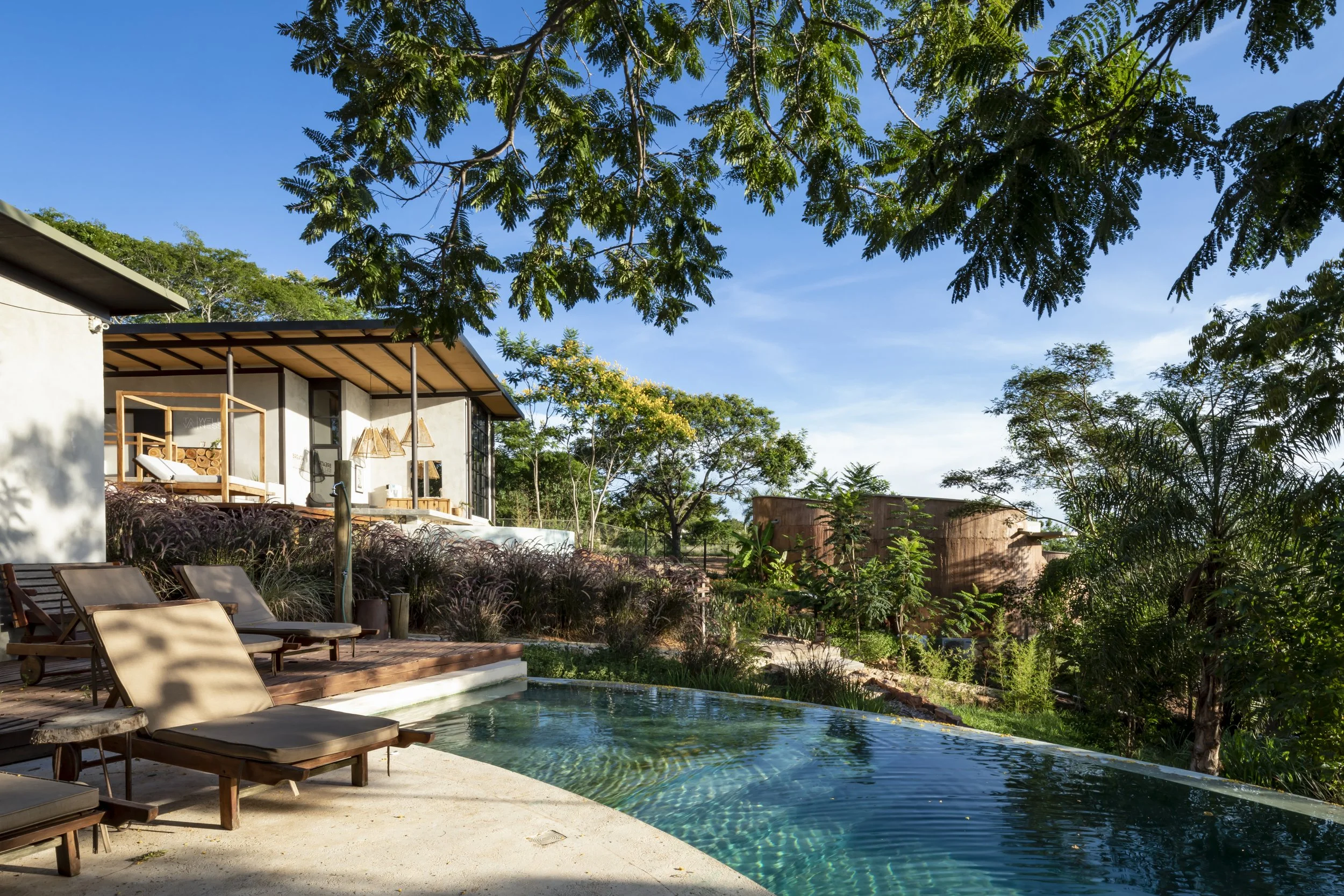 Una piscina de agua clara en un jardín con sillas de descanso de madera y un edificio moderno con verandas de madera, rodeado de árboles verdes y plantas, en un día soleado con cielo azul.
