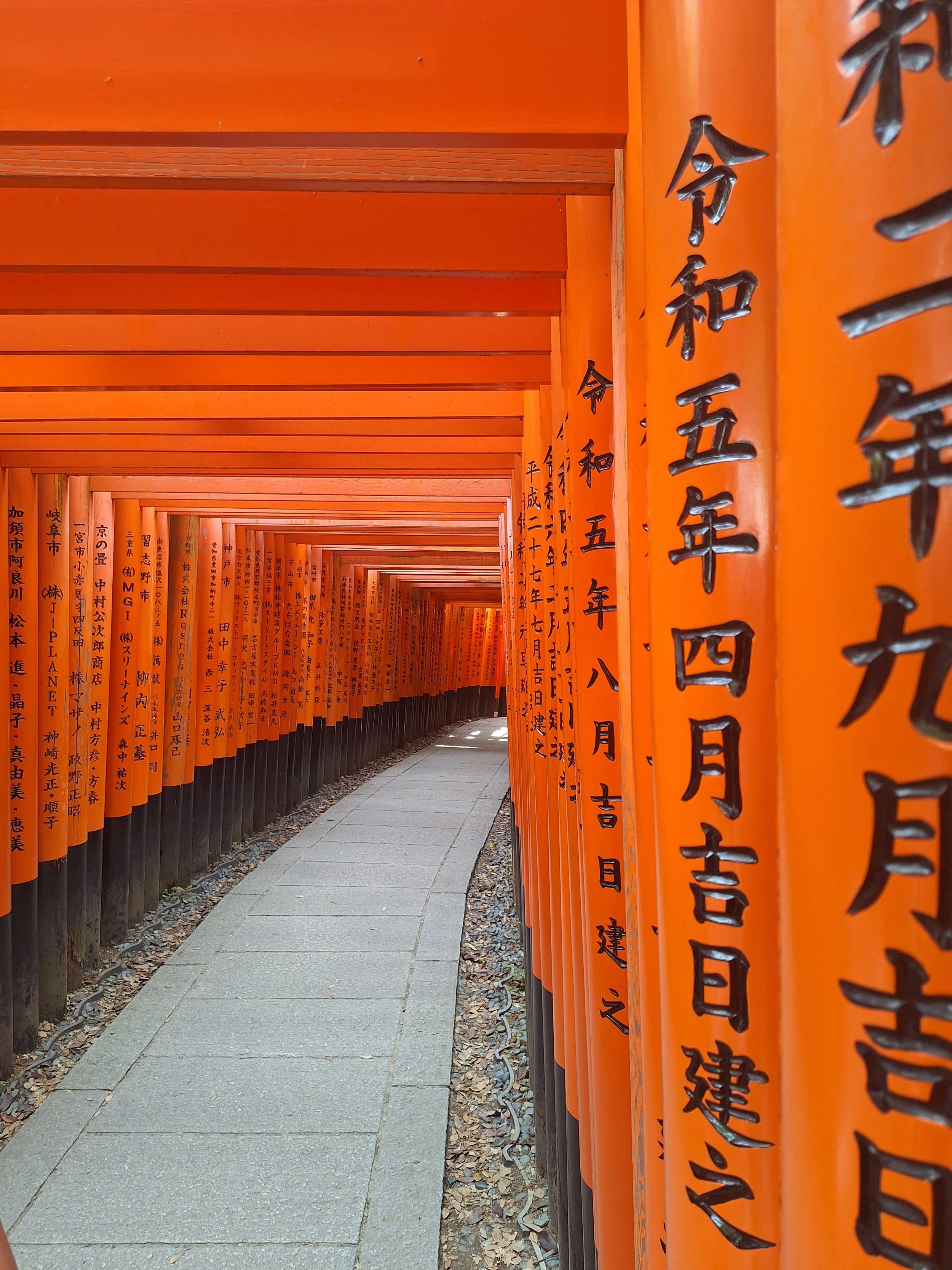 Kyoto omgeven door rijtorii-poorten met Japanse inscripties, die elkaar dicht opeen vervolgen.