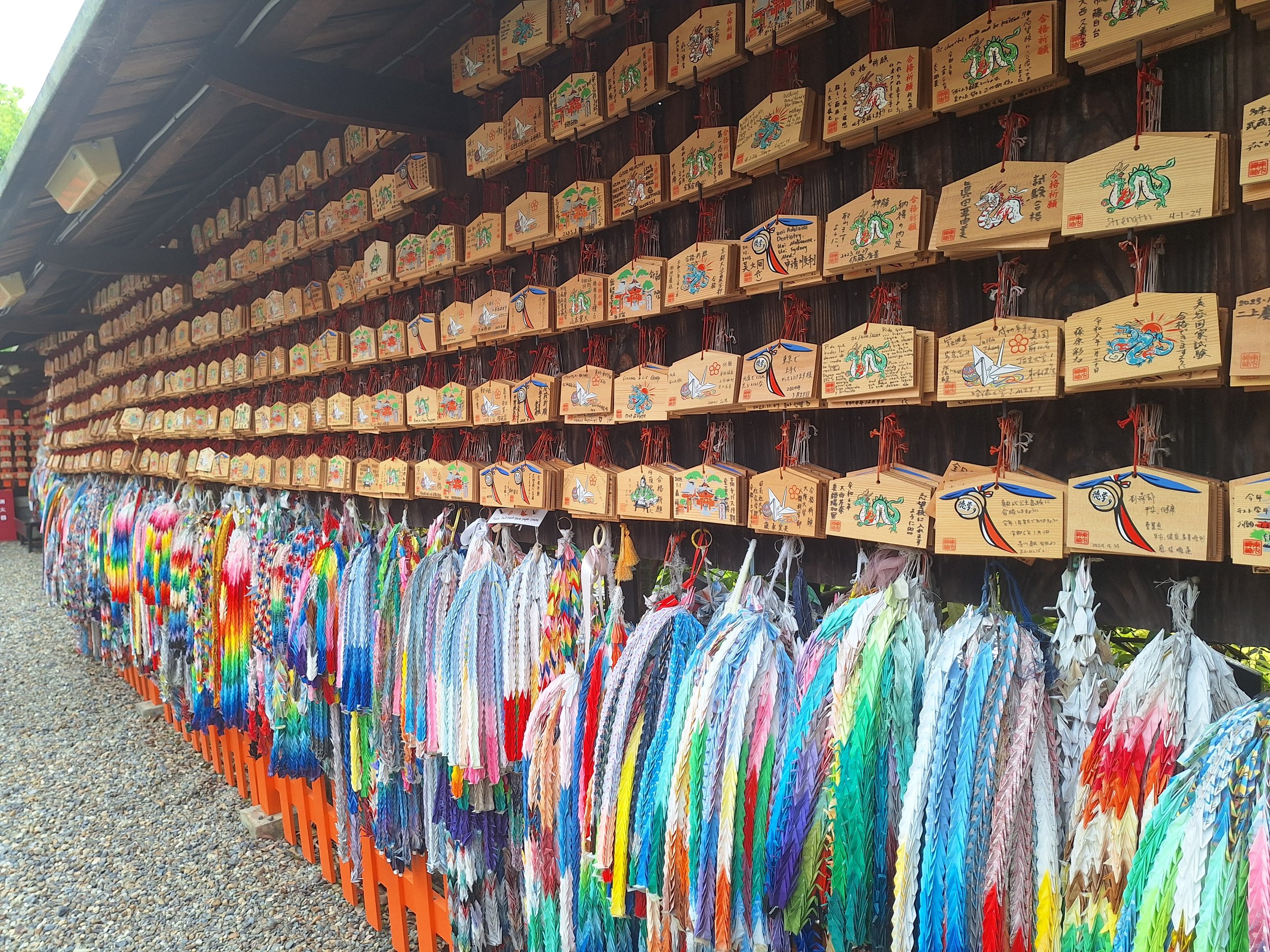 Kyoto reis