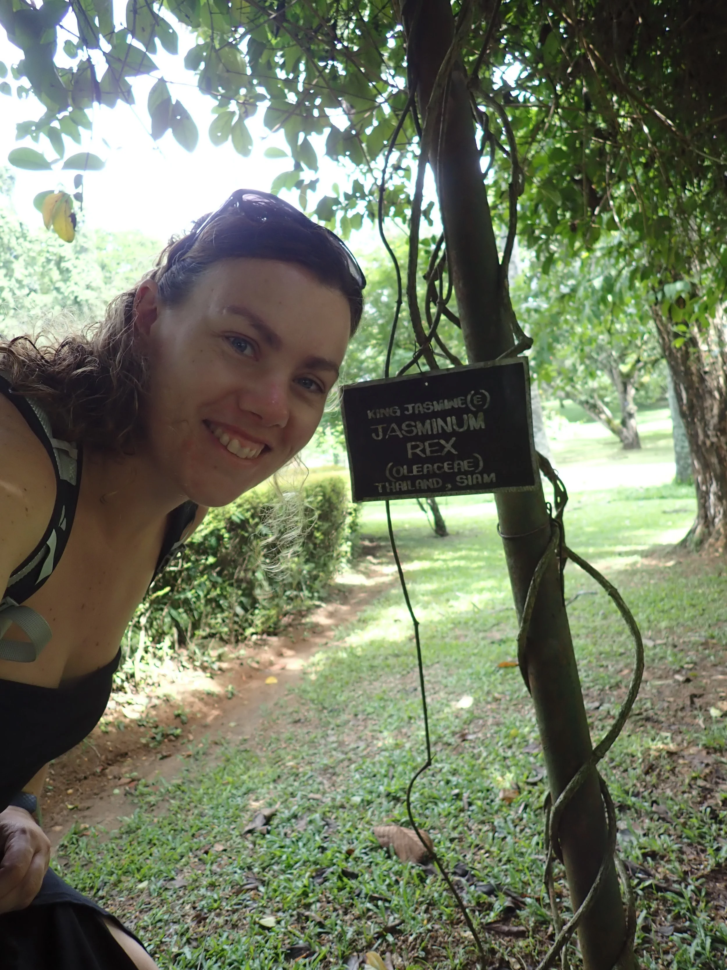 Jasmijn die naast een bordje staat met haar naam en die van de plant