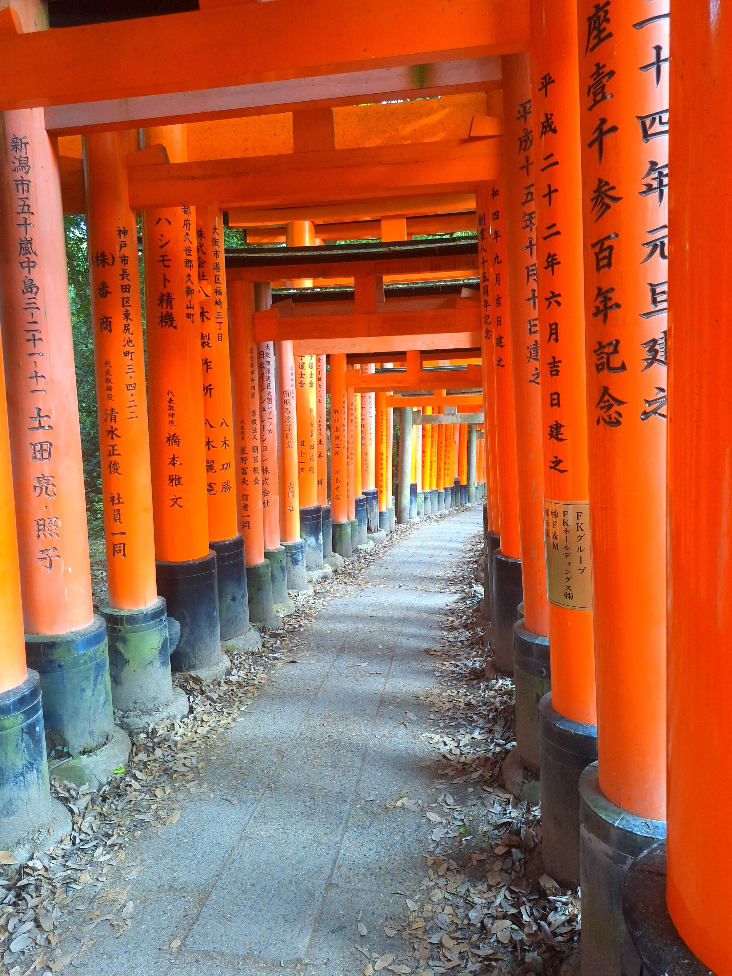 rode Torii poorten in Kyoto