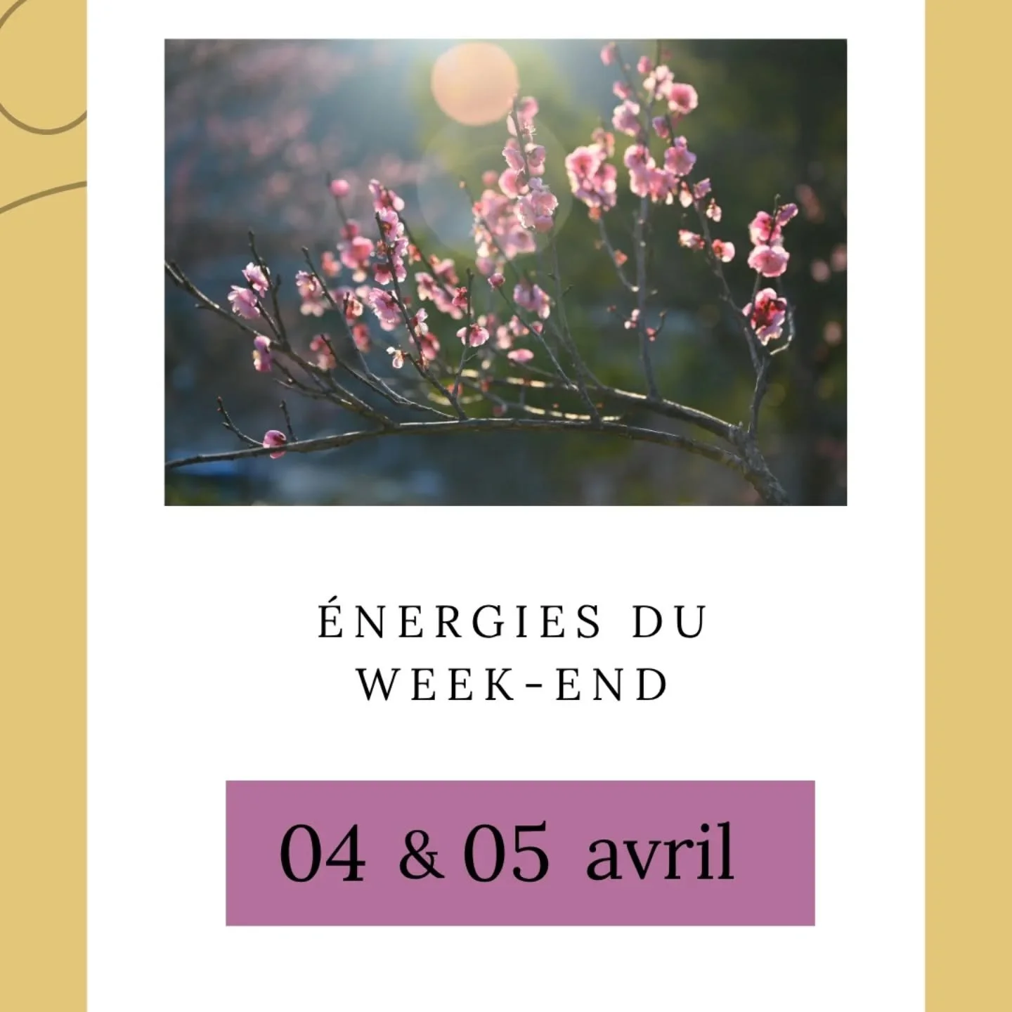 🐣 Un week-end entre fin et renouveau ✨
On lib&egrave;re&hellip; puis on ose recommencer.

🌿 Samedi : je l&acirc;che
🔥 Dimanche : j&rsquo;initie

Et toi, qu&rsquo;es-tu pr&ecirc;t(e) &agrave; laisser derri&egrave;re toi pour avancer ? 💫
💖 Avec Am
