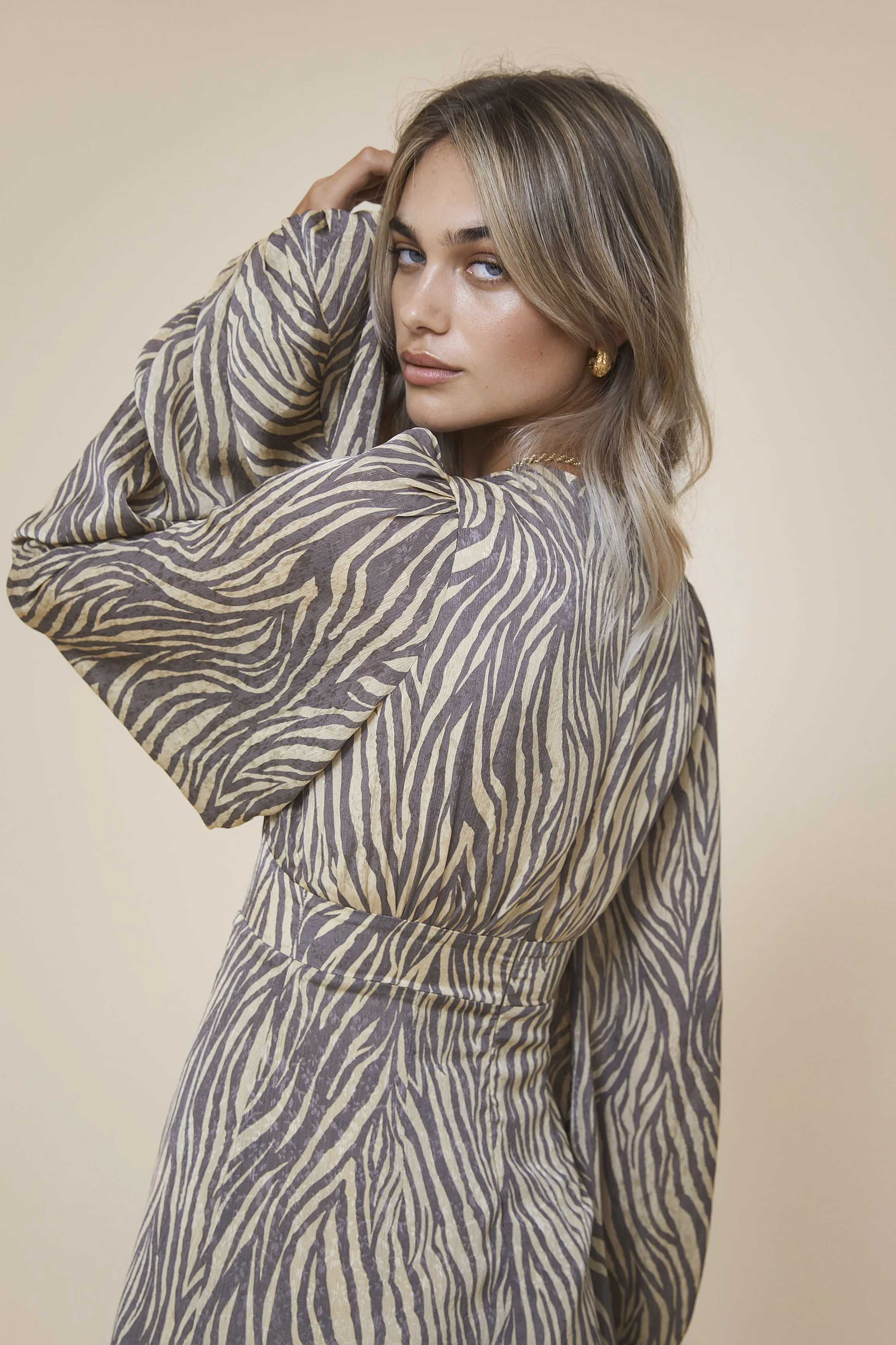 POSITANO ZEBRA_3116.jpg