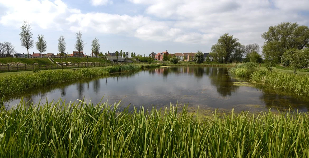 A peaceful pond surrounded by green grass, trees, and houses under a partly cloudy sky. Example of a strategic flood defence in the uk for large scale water attenuation