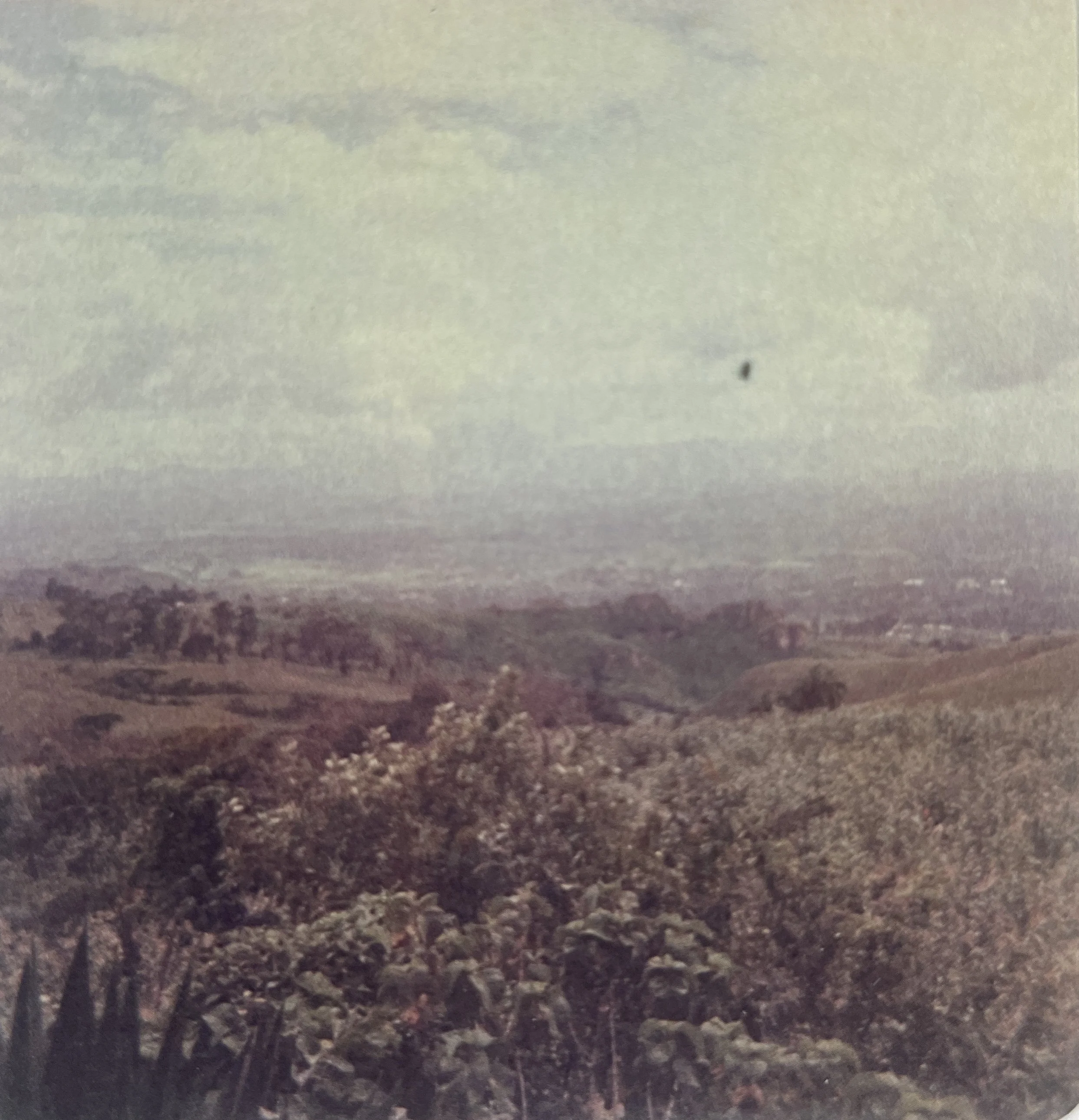 20250408_083751655_iOS - Copy.jpg