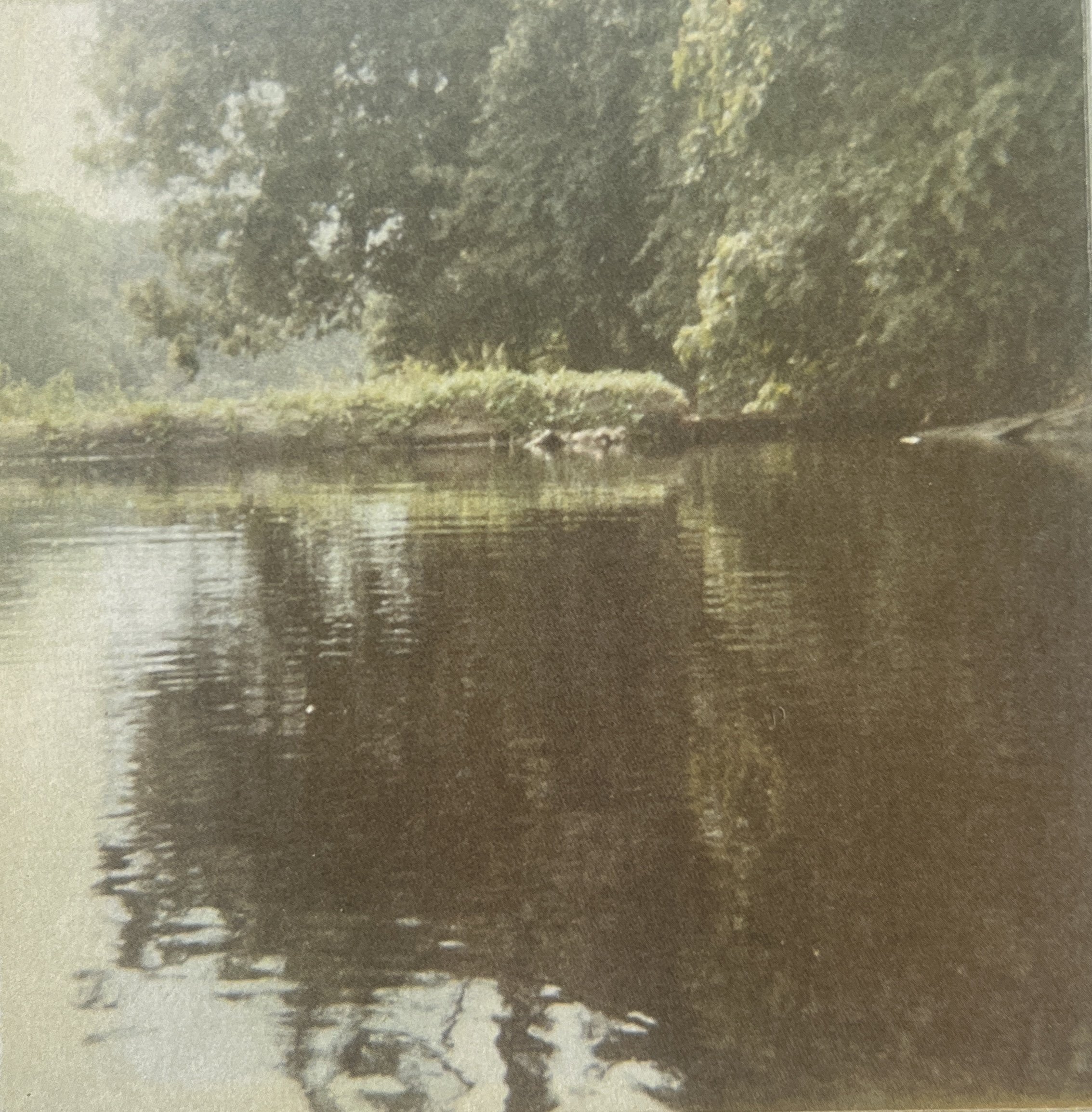 20250408_083756699_iOS - Copy.jpg