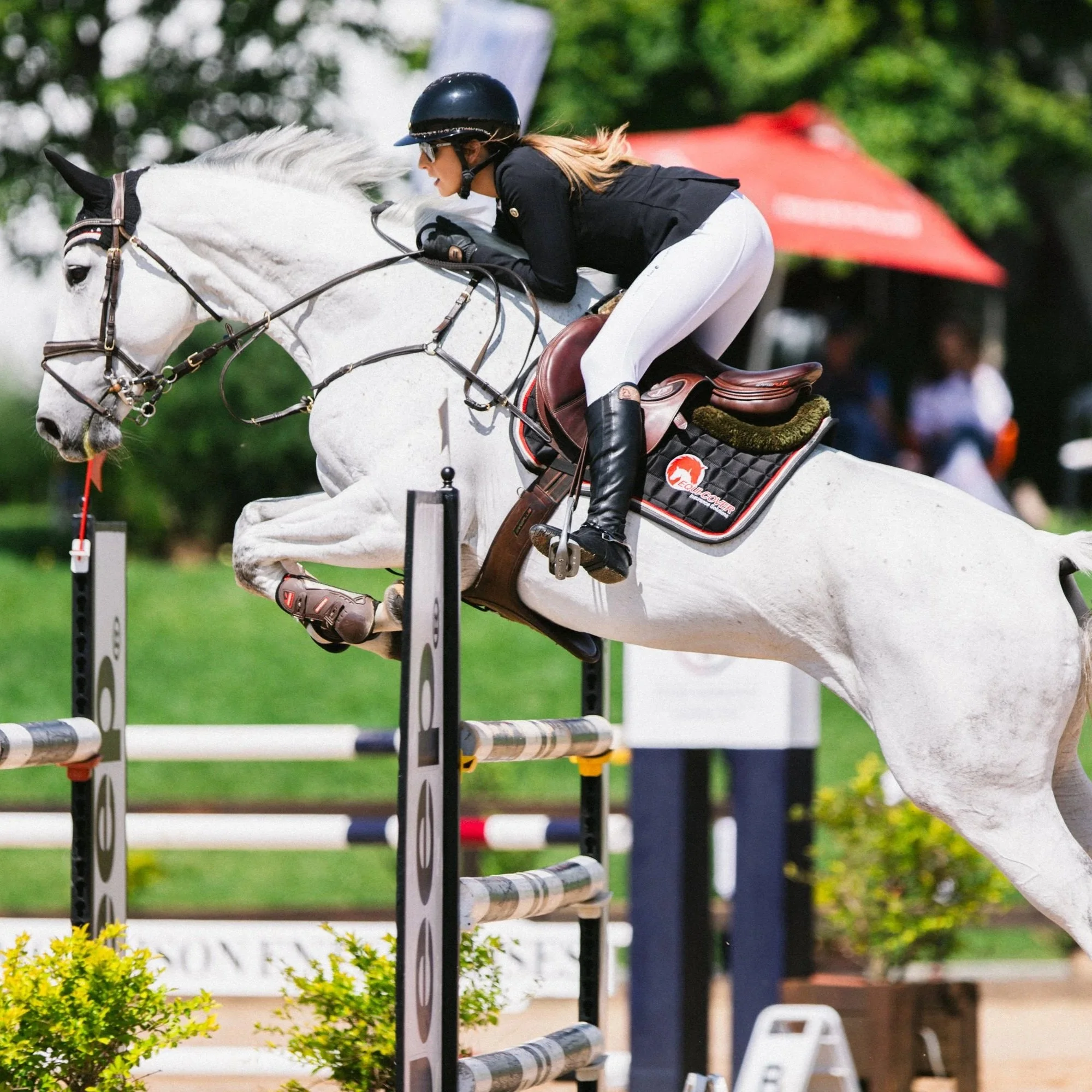 Steyn City: SA Show Jumping 2025