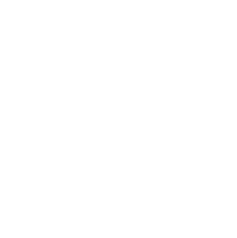Chelsea Football Club logo with a lion holding a staff inside a circle with the text 'Chelsea Football Club'