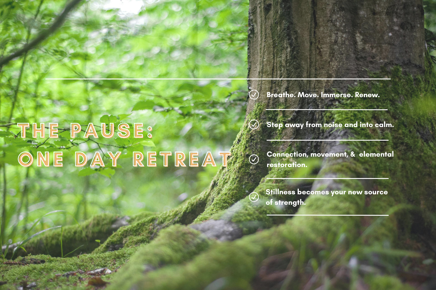 The Pause - March One Day Retreat