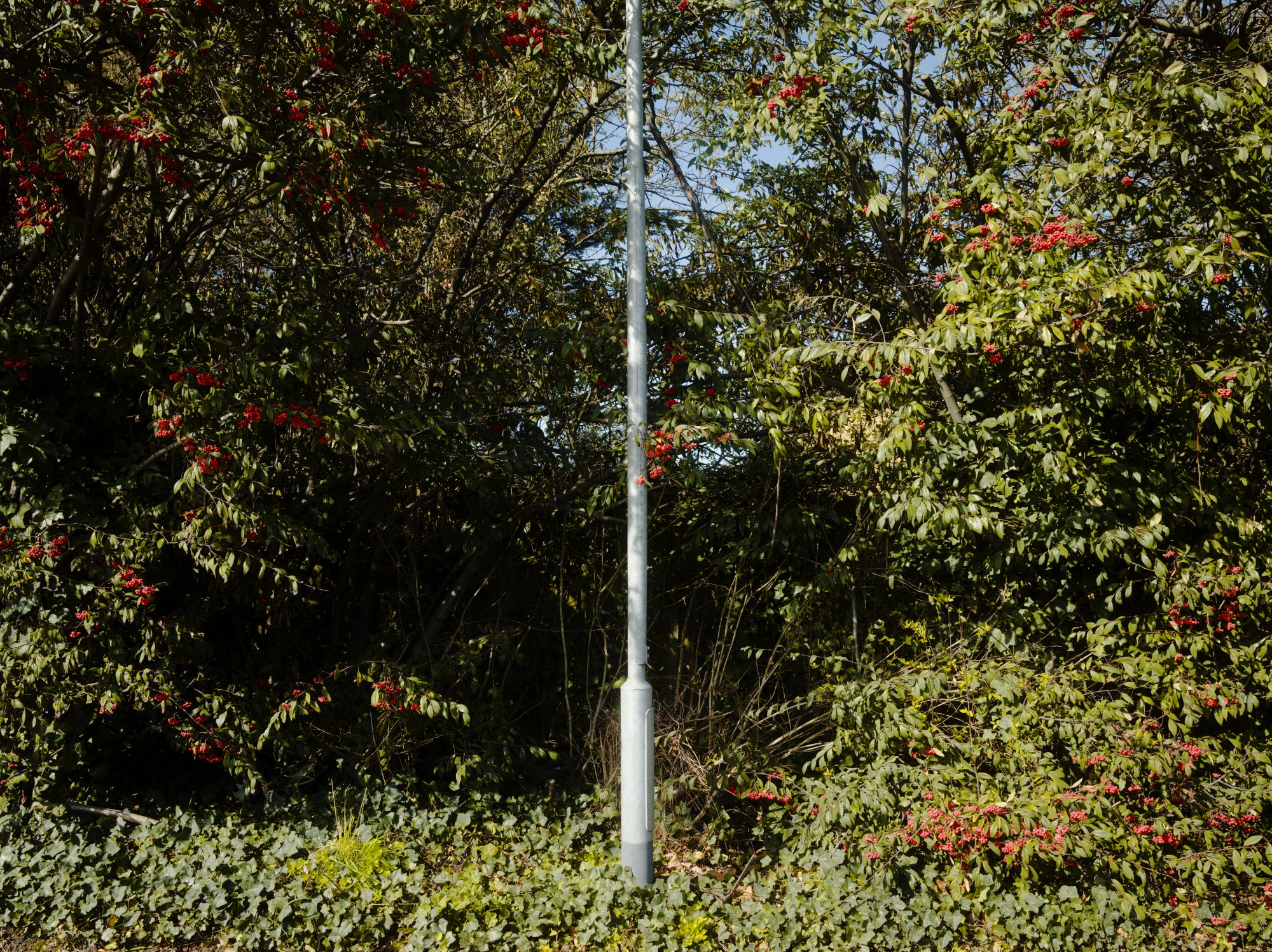 _DSF6948_DxO.jpg