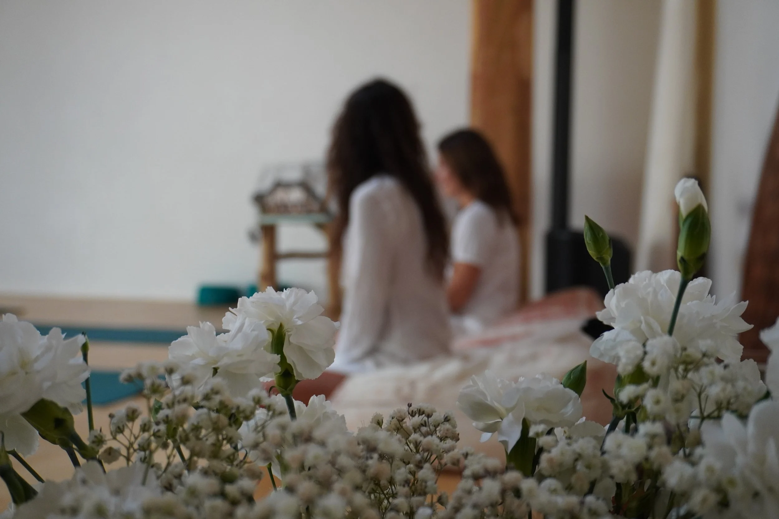 Flores blancas en primer plano, con dos mujeres en el fondo, sentadas, en un ambiente interior