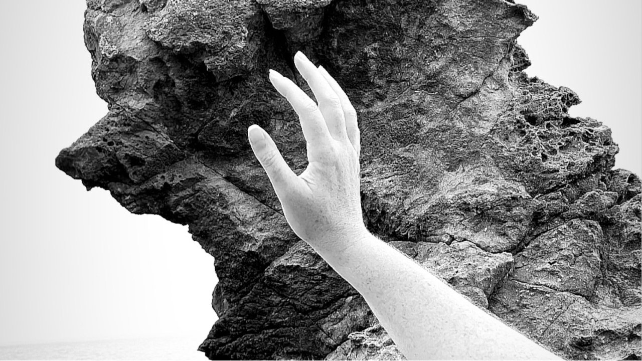 The Wild Artist London