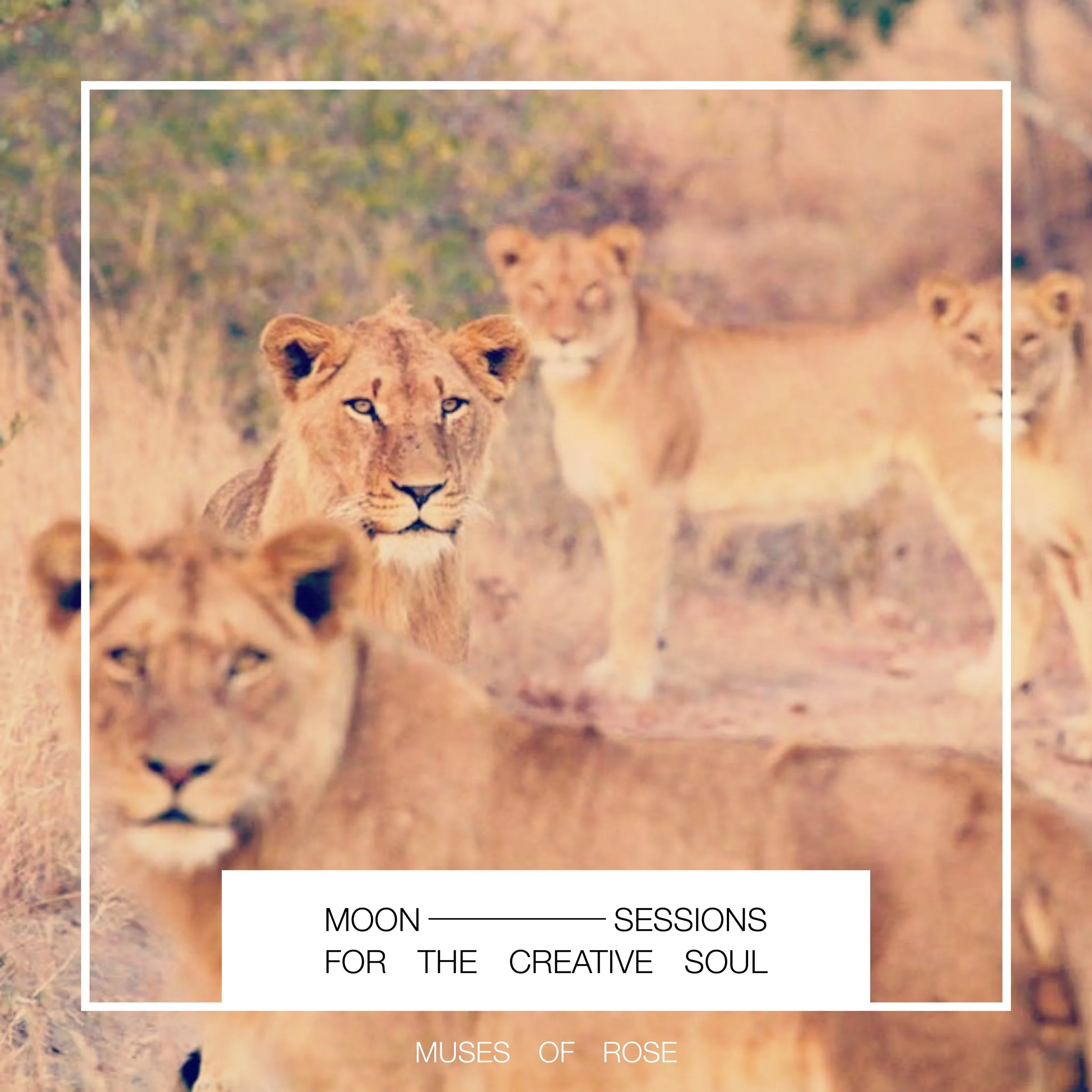 Moon Sessions for the Creative Soul
