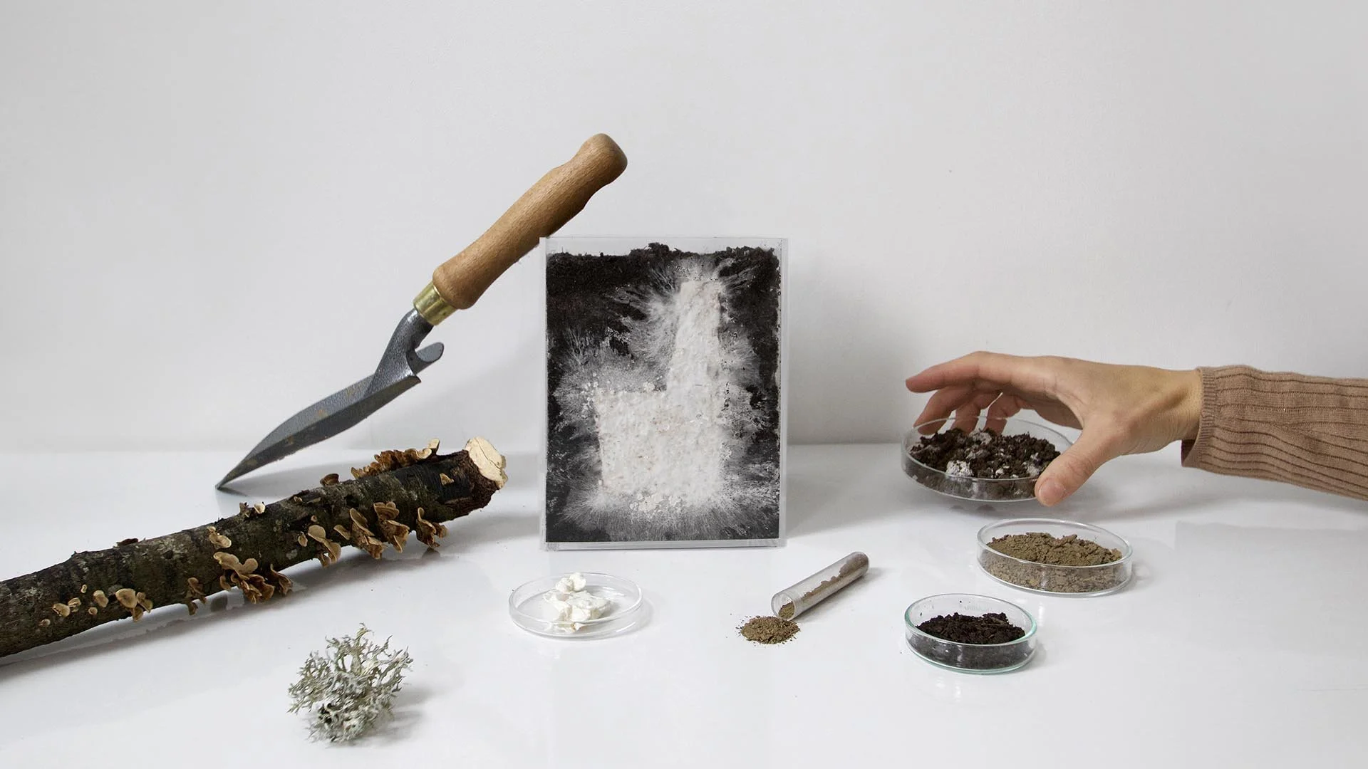 Observing the Invisible: Mycelium Workshop with Aléa