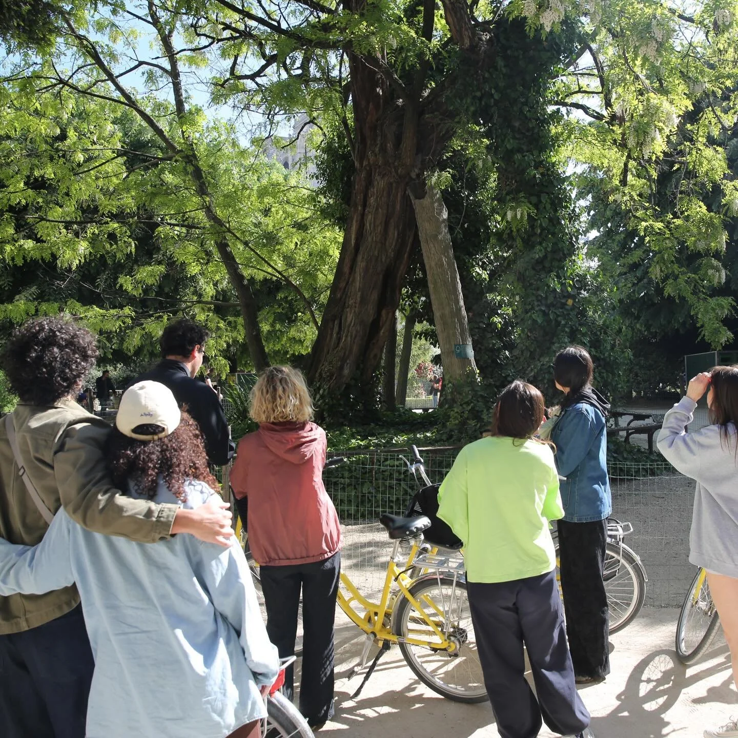 So much fun during our seed-bomb workshop and bike ride through Paris spreading seeds. We biked from the oldest tree in the city, a black locust held up by stilts,  to the tallest tree, a sycamore in Buttes Chaumont. We chatted all things urban ecolo