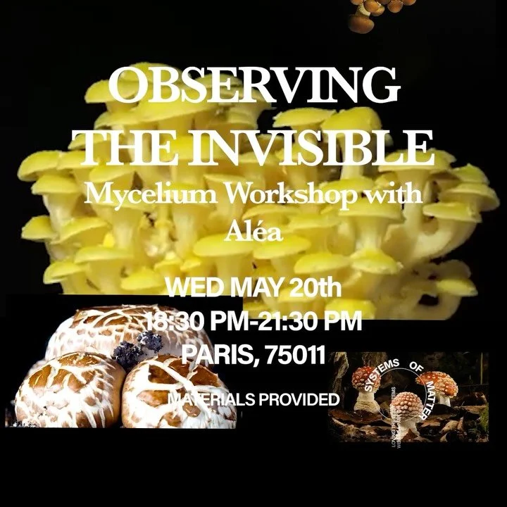 Curious about mushrooms? Want to learn about mycelium? Come join @alea_work and learn about this amazing organism/bio material/ community! In this hands-on workshop, we explore mycelium, the vegetative body of fungi, through observation and engagemen
