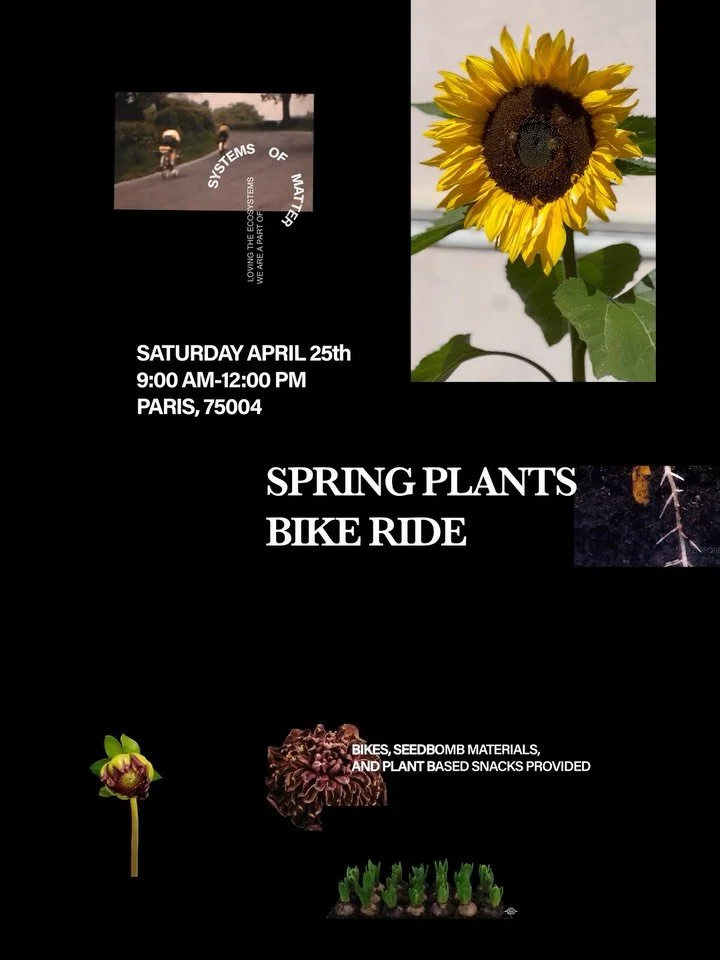 Paris! Come bike with us through the streets of Paris to learn about local plants, make seed bombs,  and spread pollinator-friendly plants. 

Link in bio:
https://www.systemsofmatter.com/events-workshops-fieldtrips/p/seed-bomb-bike-ride
