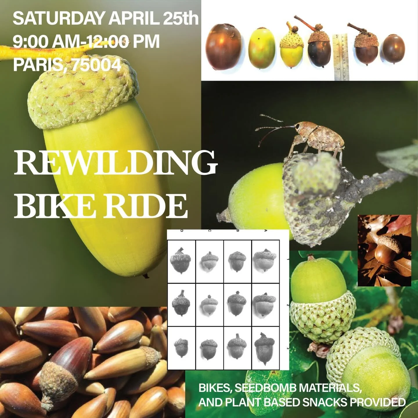 Have you ever been curious about the plants and trees of Paris? Maybe you&rsquo;ve wondered: Why are the trees so square? Or What goes into growing the classic flower plantings across the city? 
Come on a spring bike ride where we will explore the lo