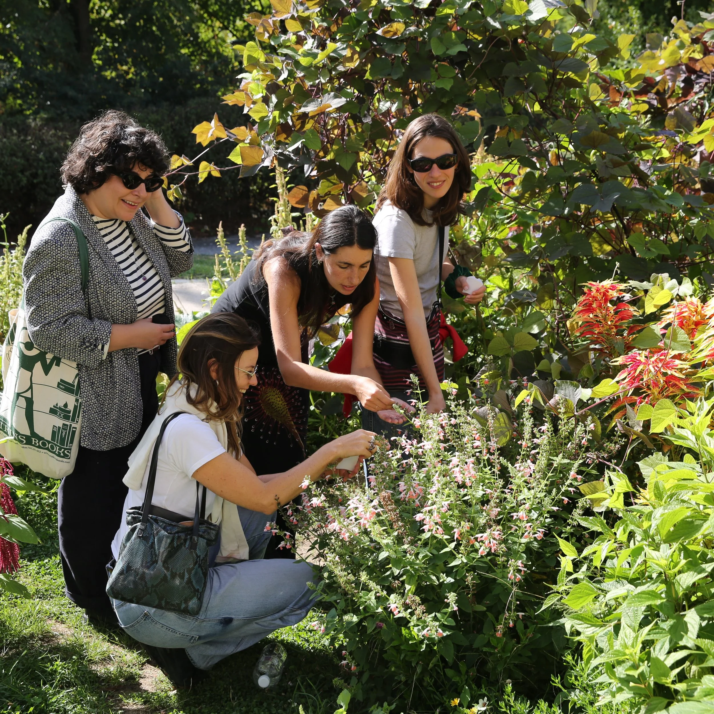 So much fun gathering seeds this weekend with you all! We collected four types of amaranth, verbena, hibiscus, milkweed, sunflower, and and and! It&rsquo;s increasingly critical to save seeds. 6 companies own 60% of seeds globally! These corporations