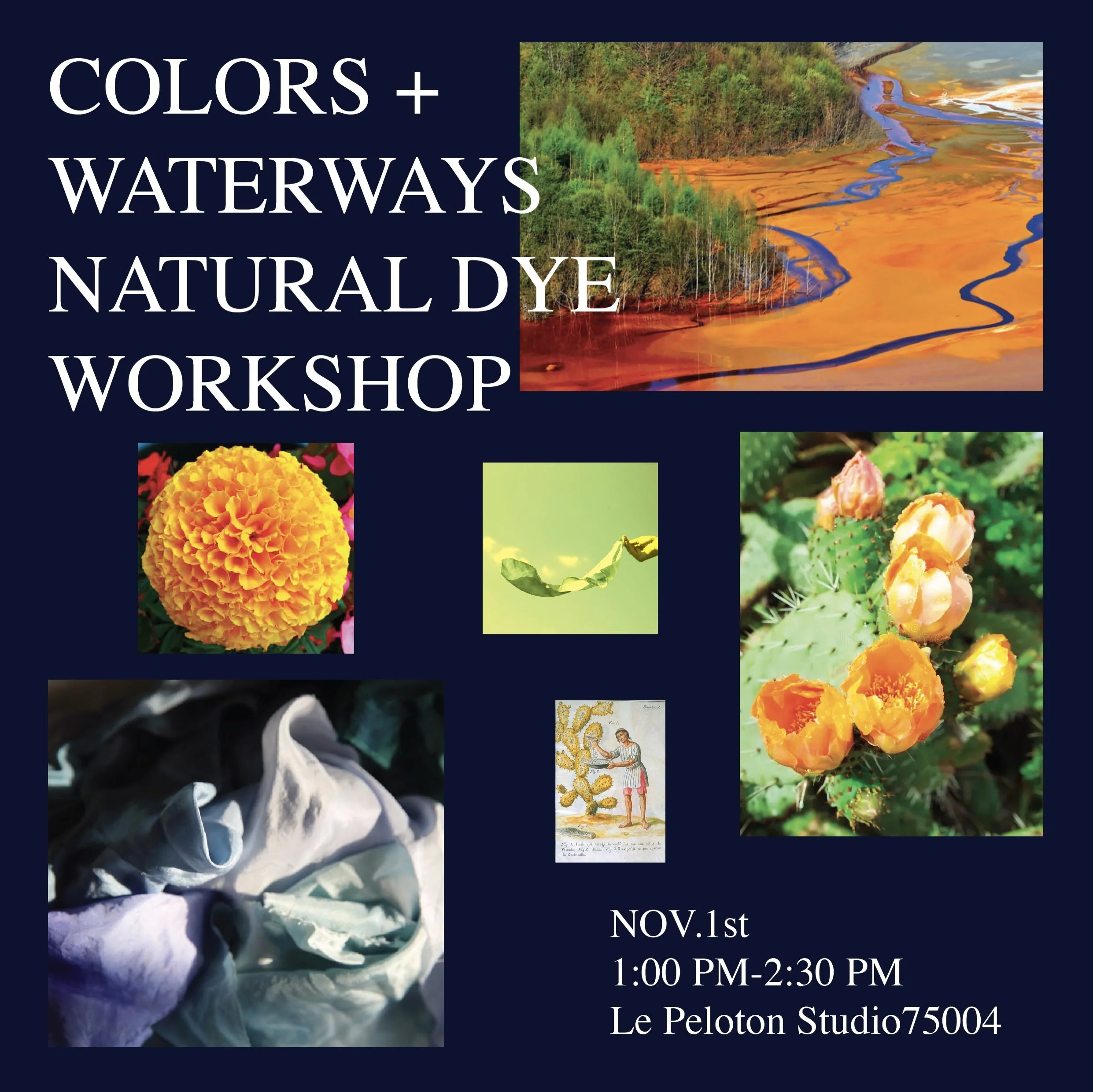 Natural dye workshop! Nov.1! Bringing color to the gray.