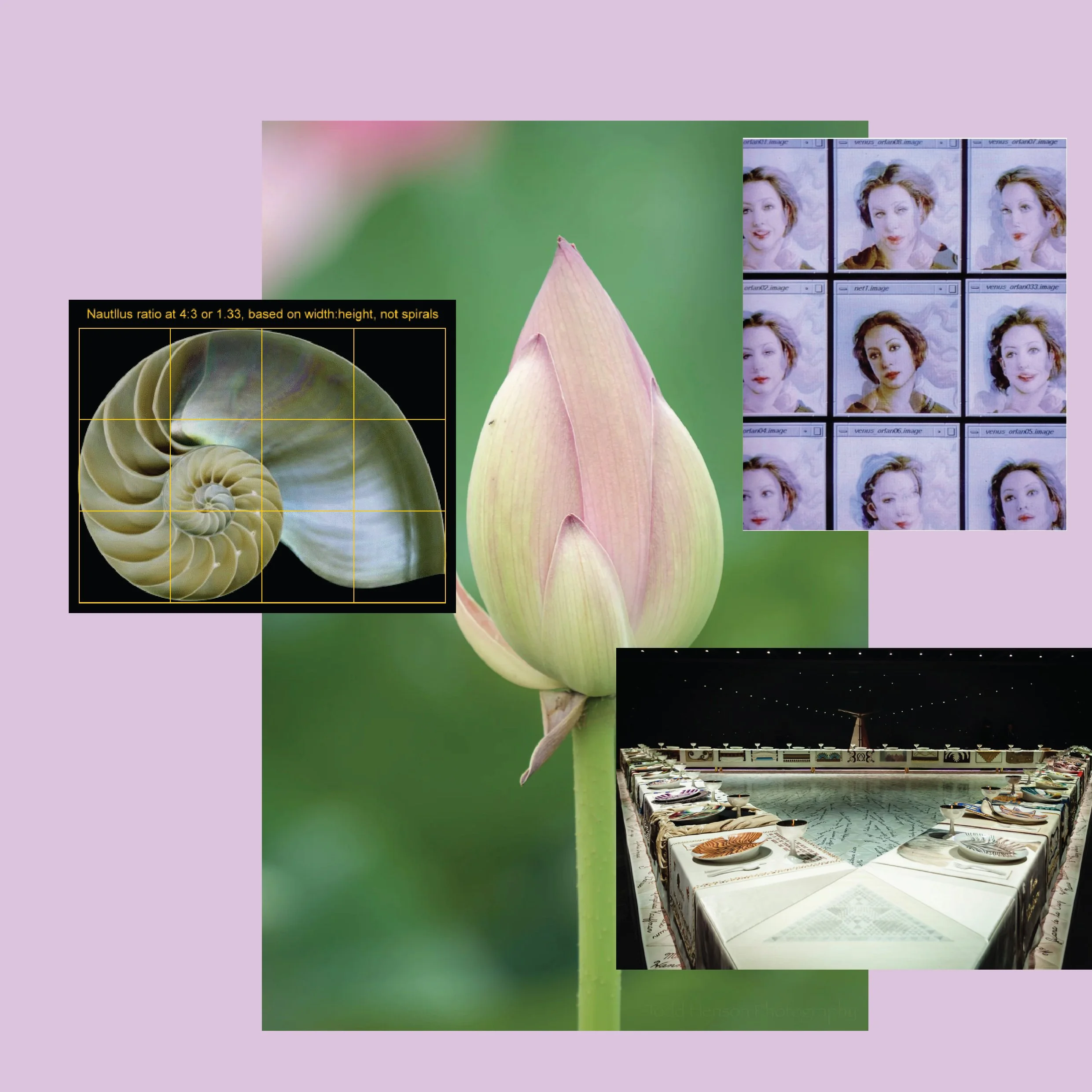 Beauty symposium systems of matter-06.jpg