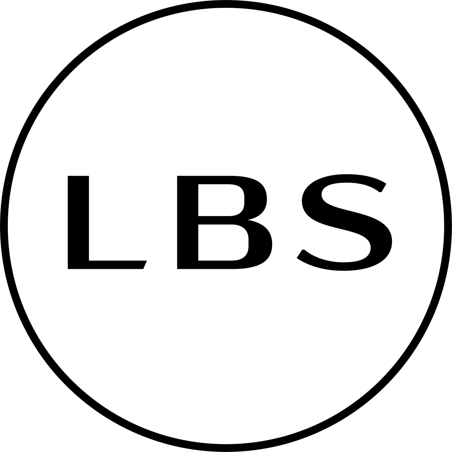 LBS LLC
