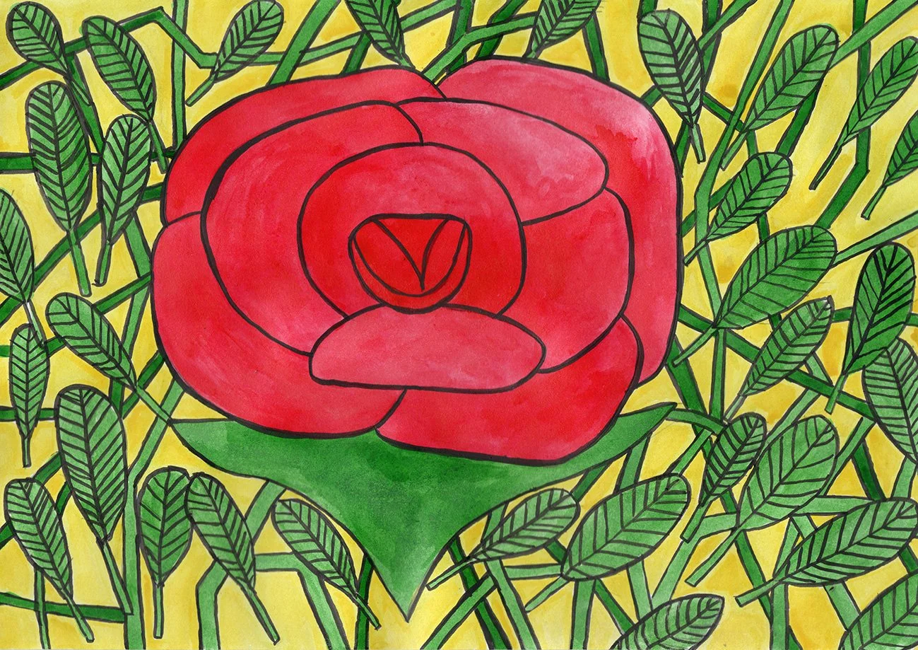 Peace Rose - Ink on paper A4 2024