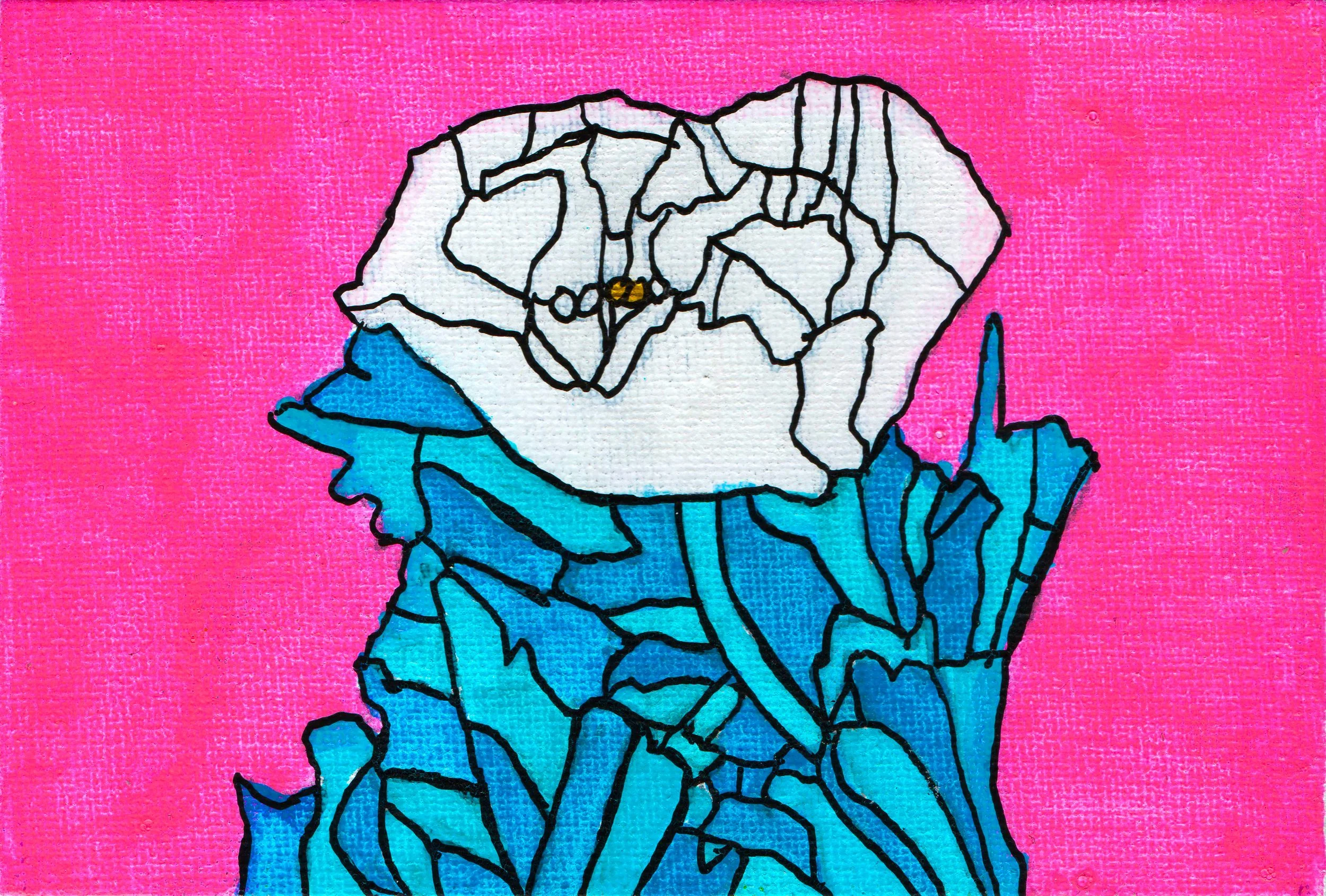 poppy #3.jpg