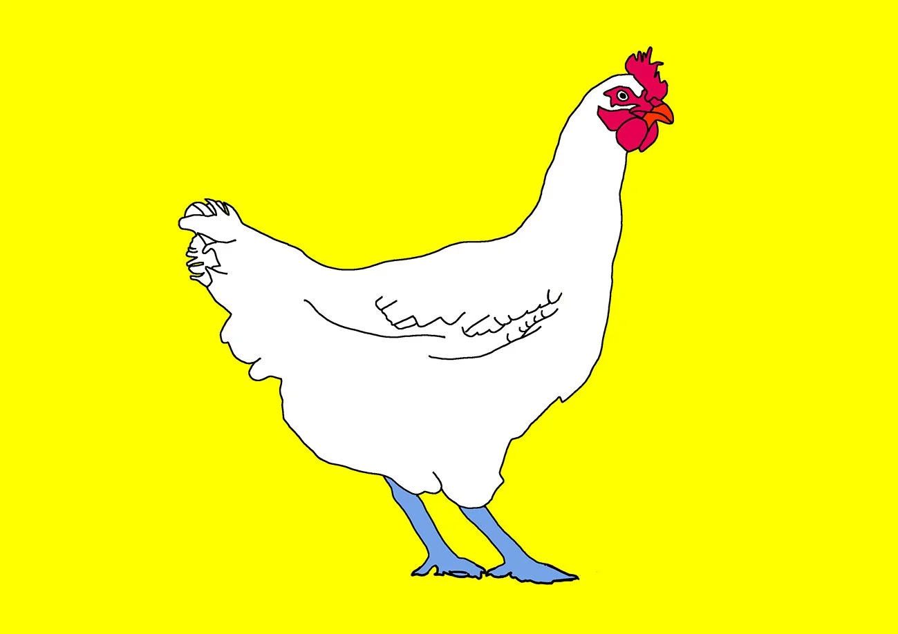 Hen standing, digital illustration, 2025
