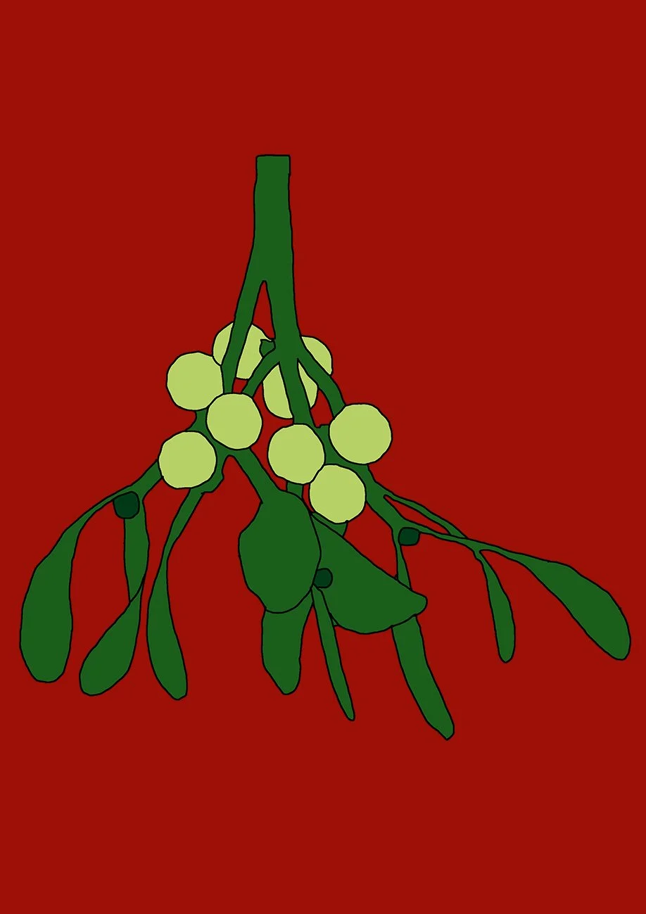 Mistletoe, digital illustration, 2025