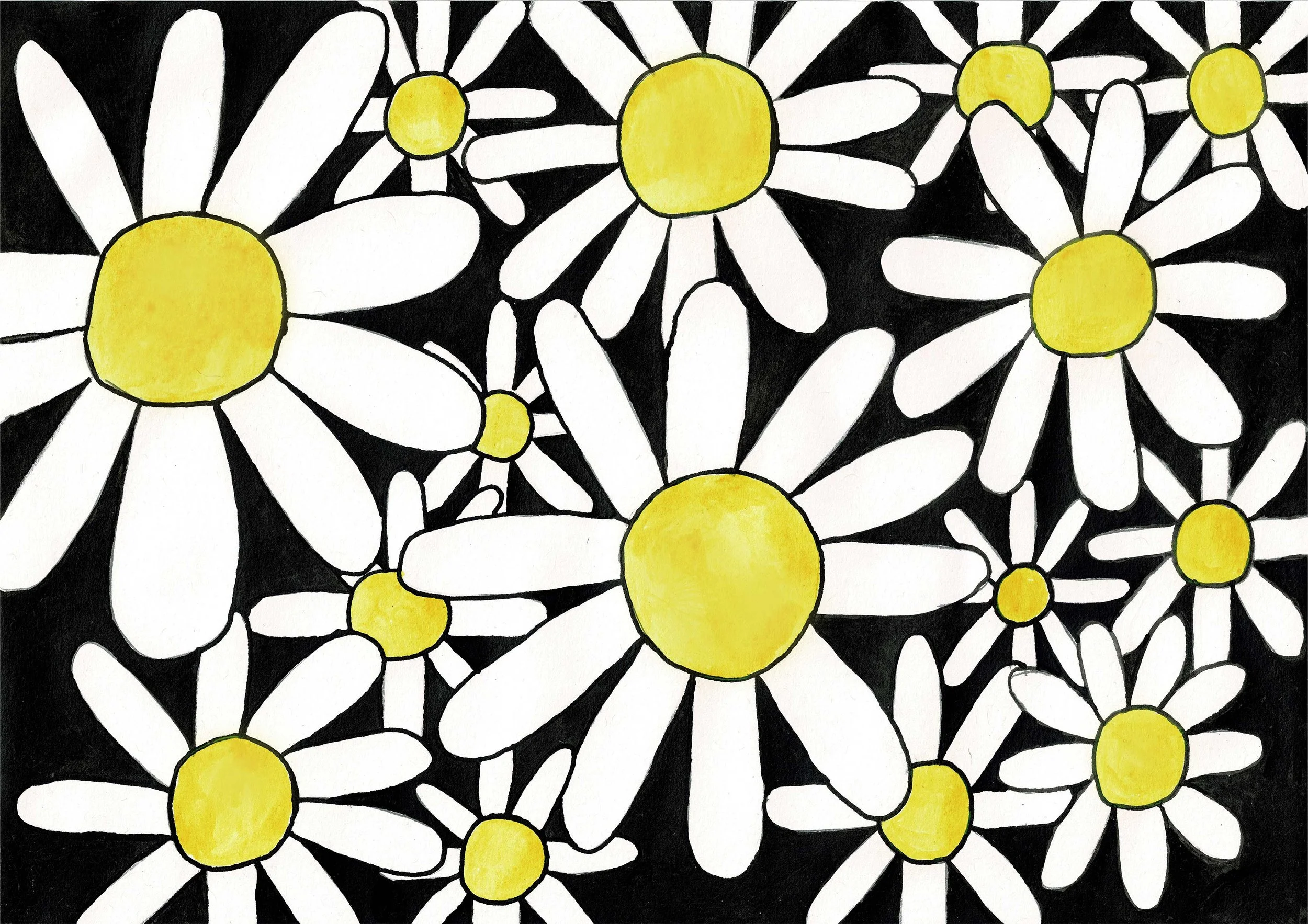 Daisies - Ink on paper A4 2024