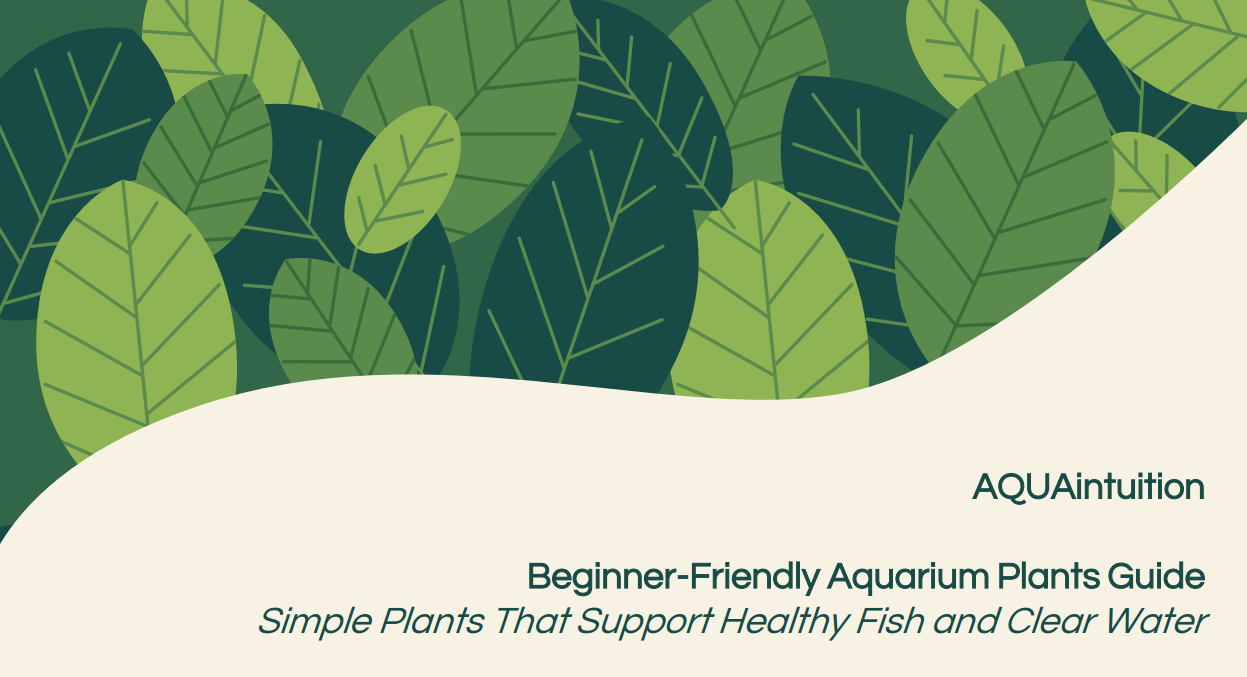 AQUAintuition Beginner Plant Guide