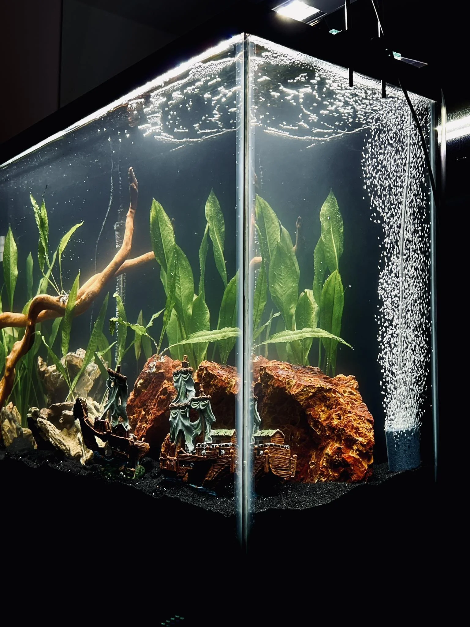 Aquarium with green plants, rocks, and decorations, with bubbles rising from a filter on the right side.