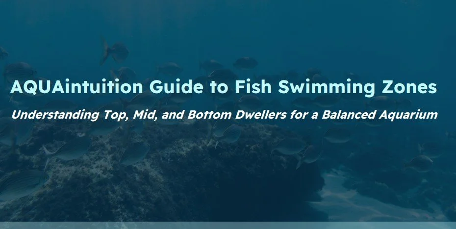 AQUAintuition Beginner Fish Zone