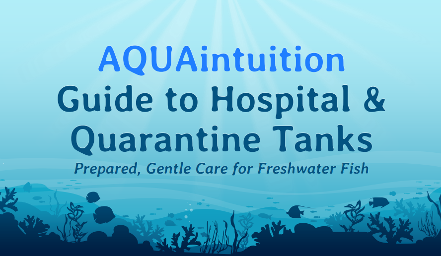 AQUAintuition Beginner Hospital Tank Guide