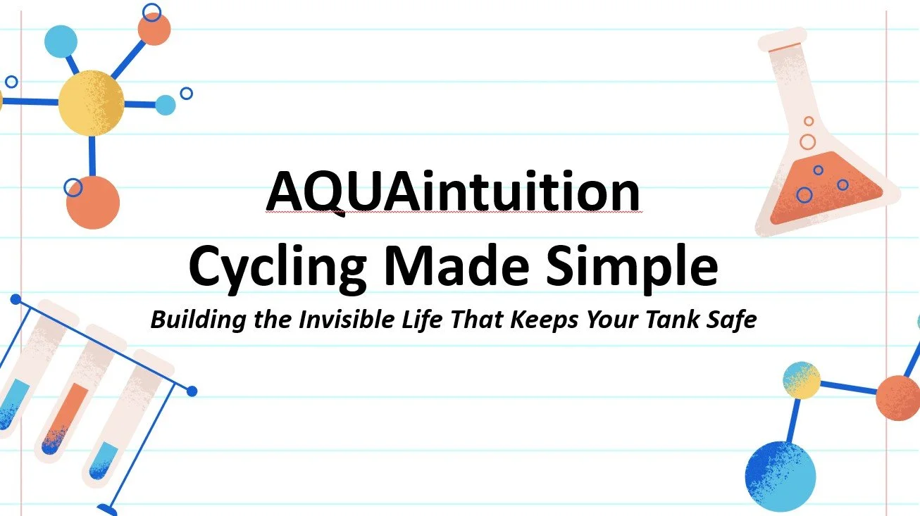 AQUAintuition Water Cycling Guide