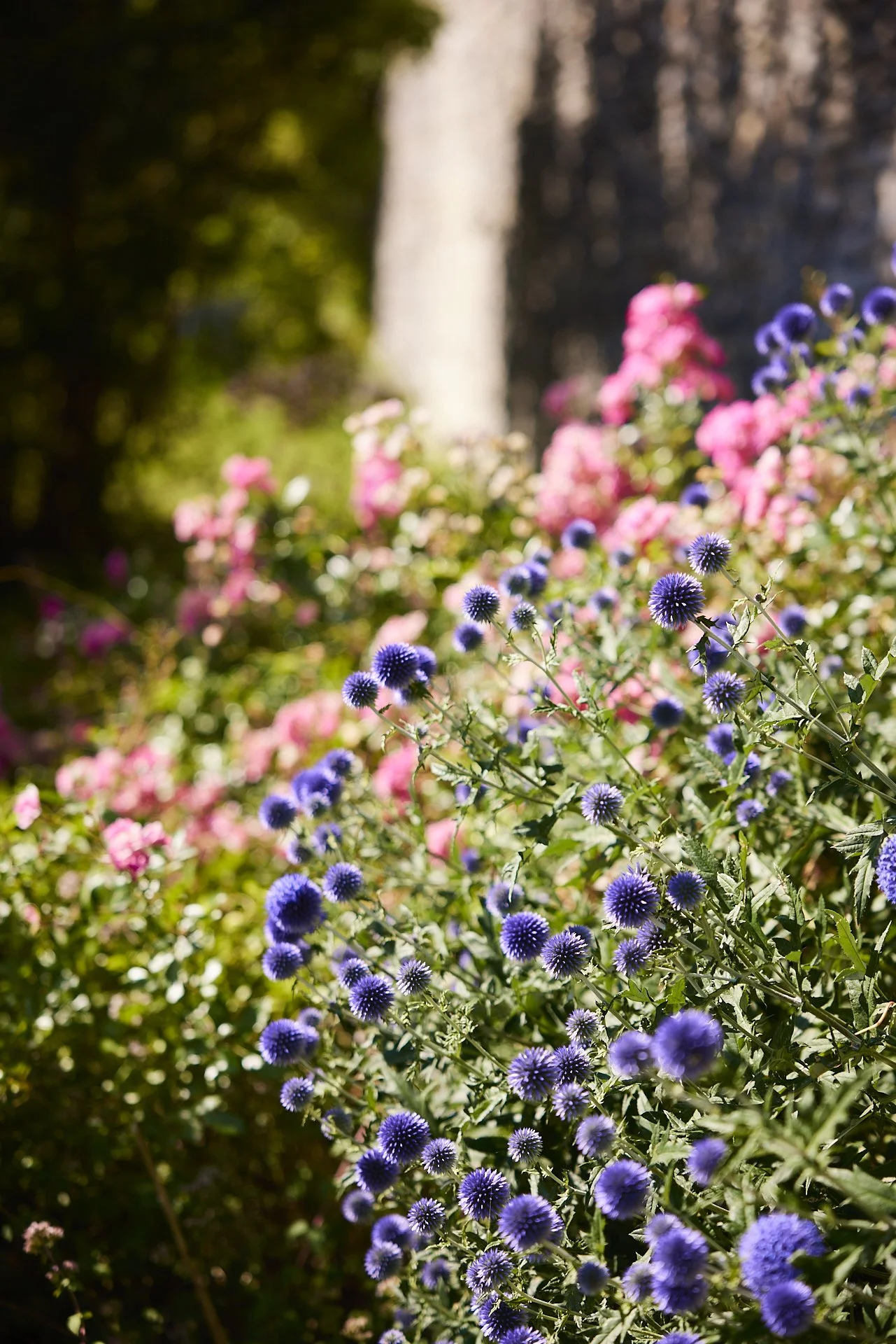 17 - 2507_Ritoire_0617_web.jpg