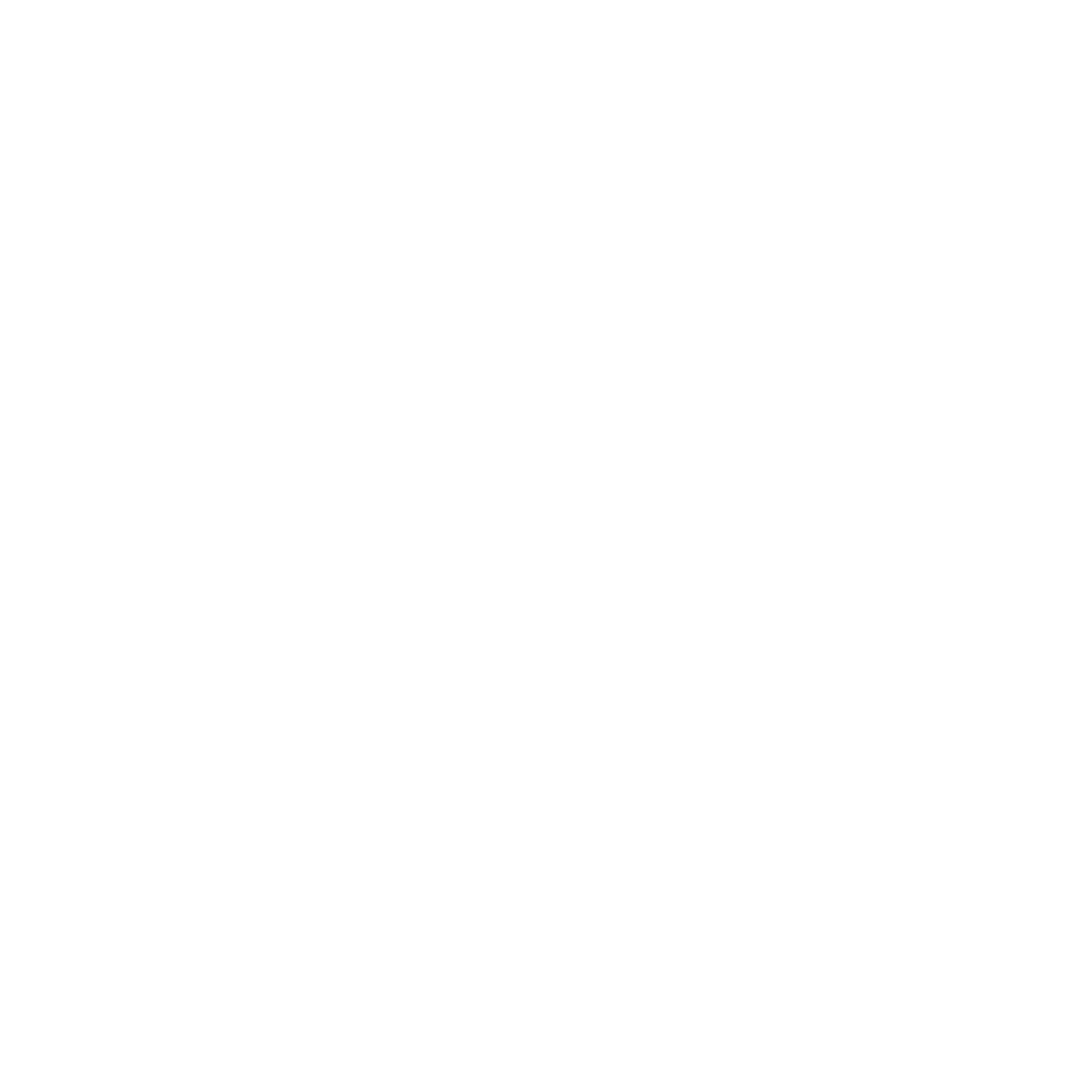 Jon Ann