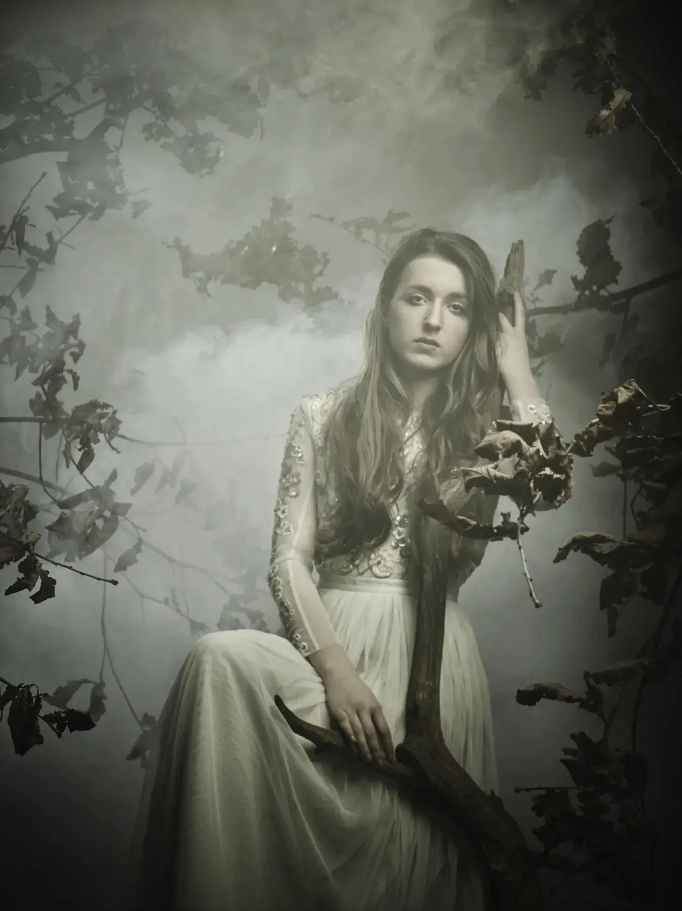 Cineastisches Fine-Art-Porträt einer jungen Frau im nebligen Wald mit besticktem Kleid und verwittertem Ast. Die Szene erzeugt eine melancholische, märchenhafte Stimmung im Stil moderner Editorial- und Garzareck-Fotografie.