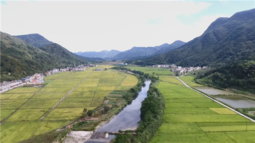 Valley with a river running through green rice fields and mountainous terrain in the distance.