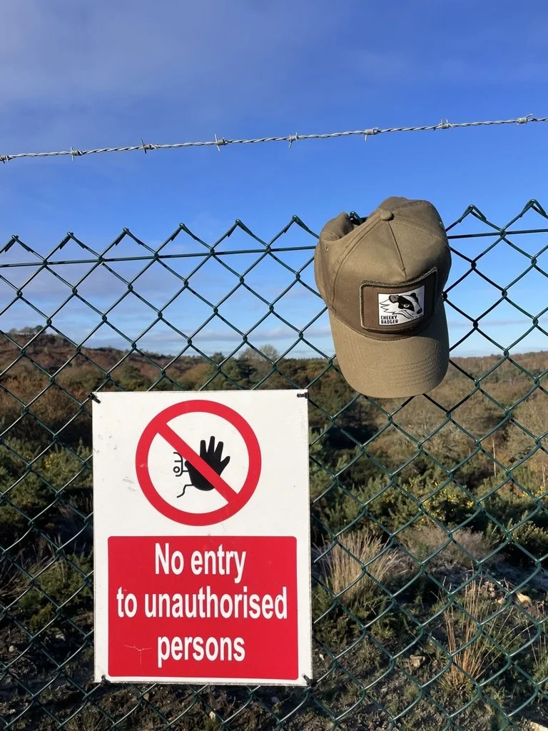 9112C5DE-F62B-49ED-93E9-54ED8B95924F_1_105 trucker cap cheeky badger_c.jpeg