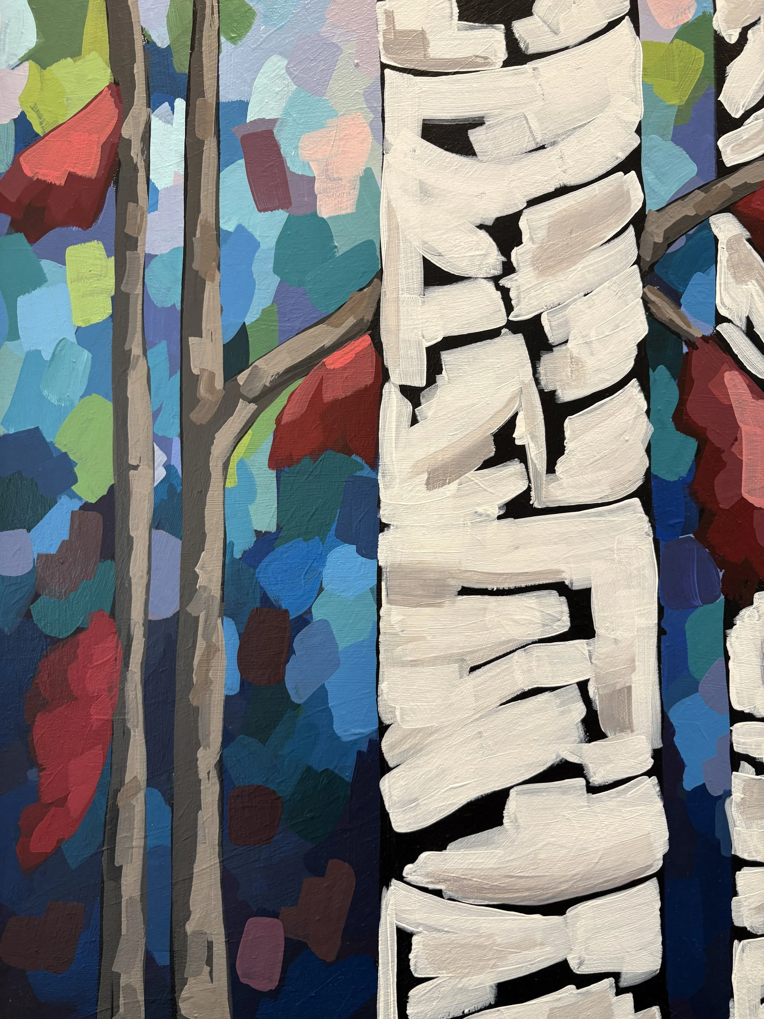 Birch Trees Close.JPG